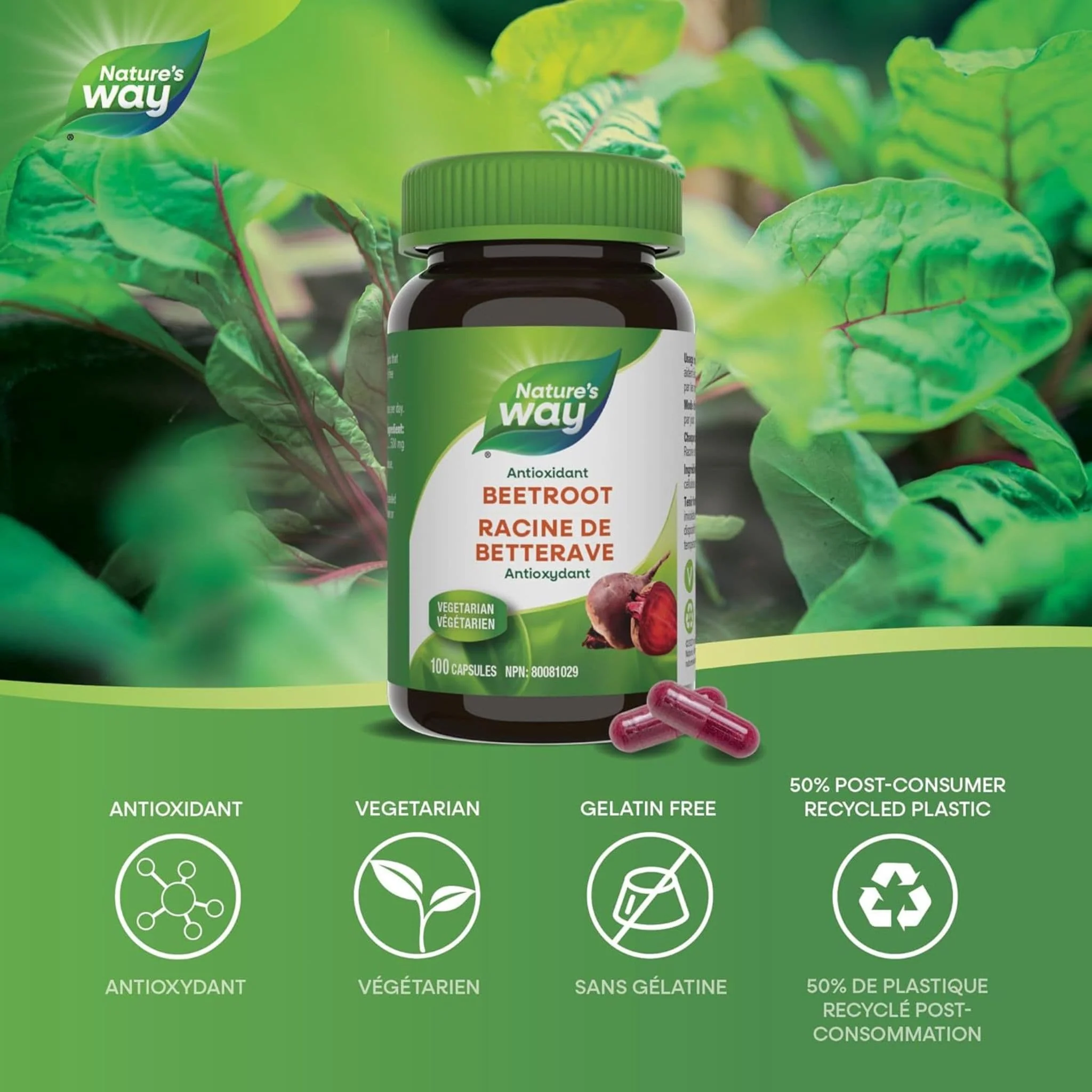 Nature's Way Beet Root, 100 Capsules - Image 4