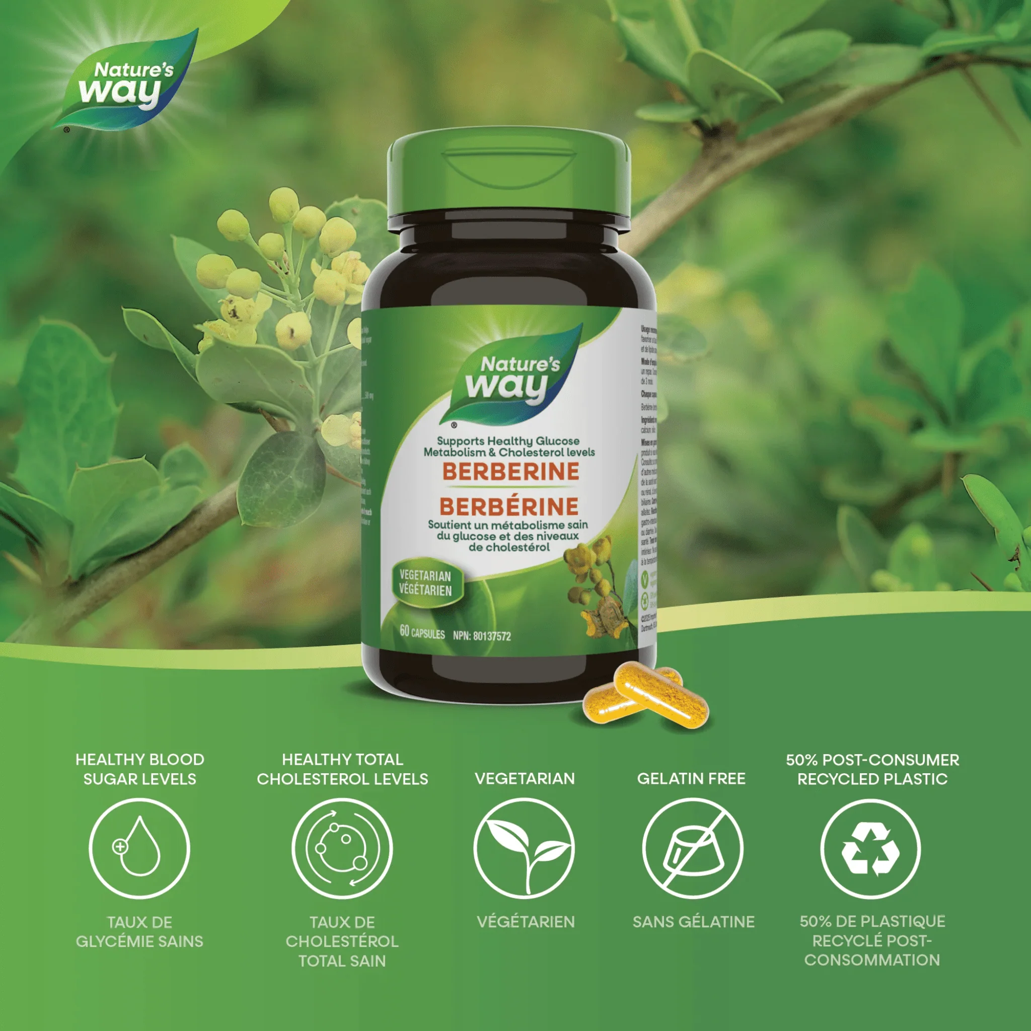 Nature's Way Berberine 500mg HCl, Supports Glucose Metabolism and Heart Health, 60 Vegetable Capsules - Image 2