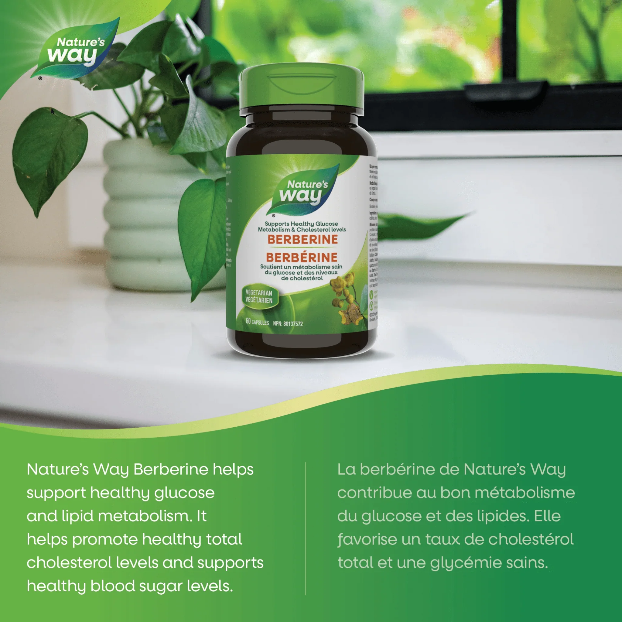 Nature's Way Berberine 500mg HCl, Supports Glucose Metabolism and Heart Health, 60 Vegetable Capsules - Image 4