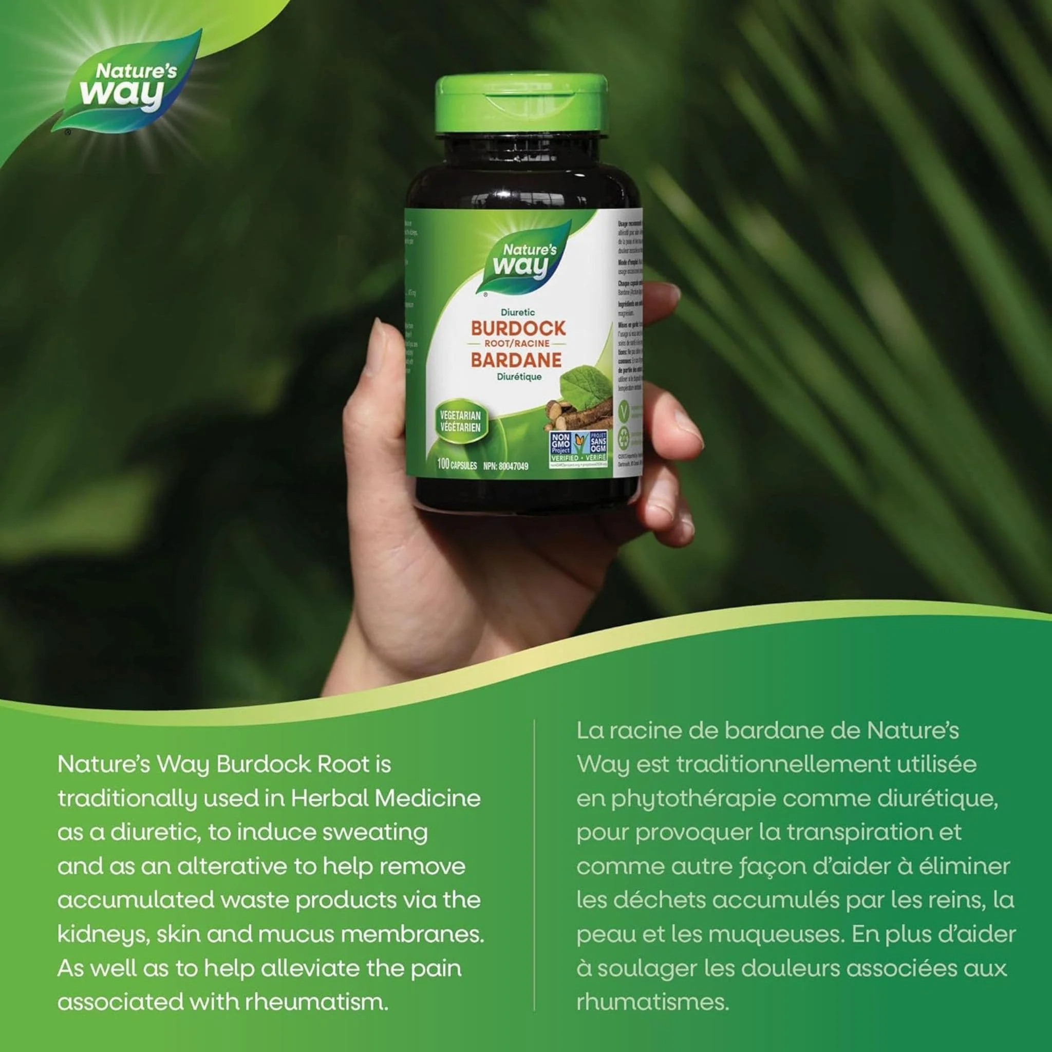 Nature's Way Burdock Root, 100 Vegetable Capsules - Image 4