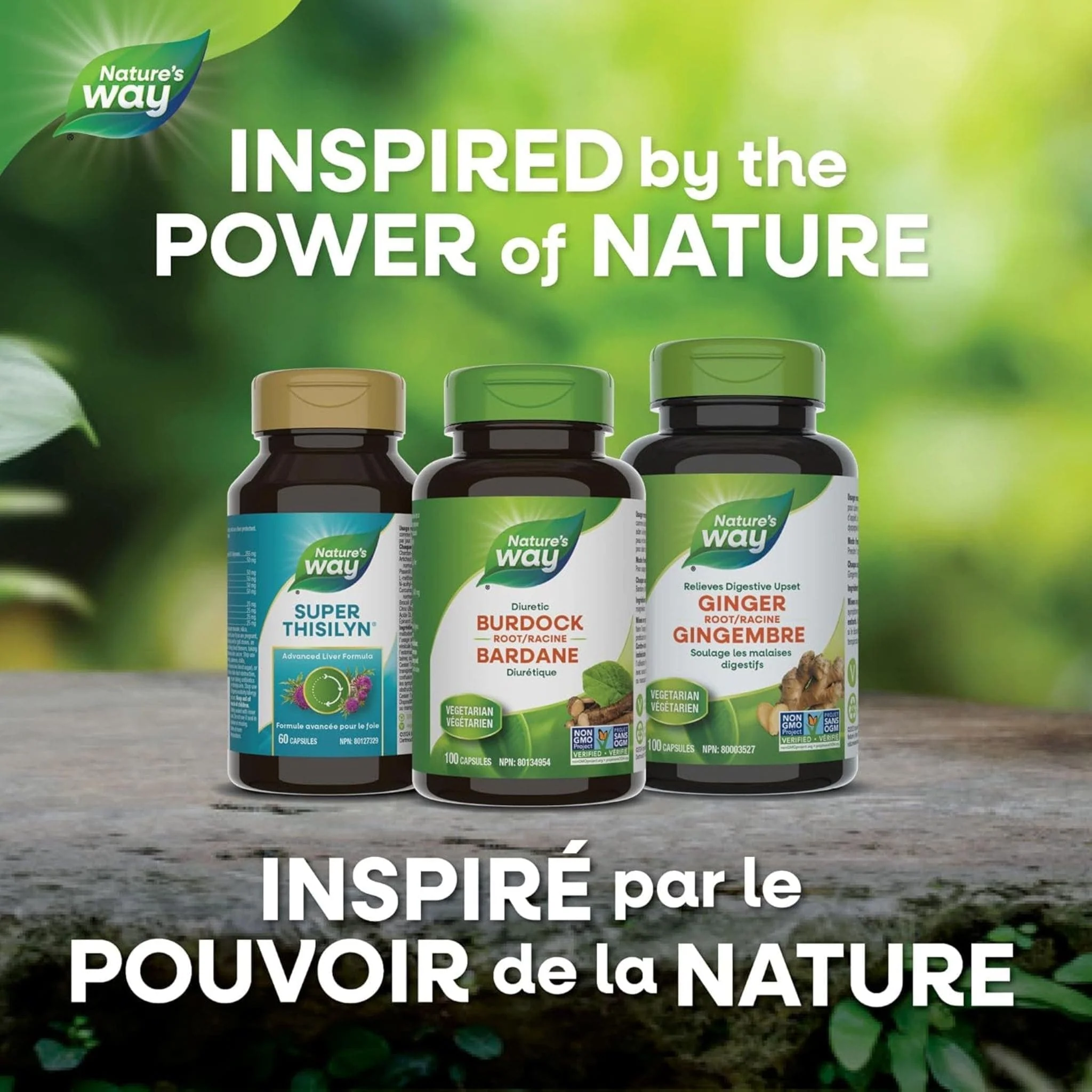Nature's Way Burdock Root, 100 Vegetable Capsules - Image 8