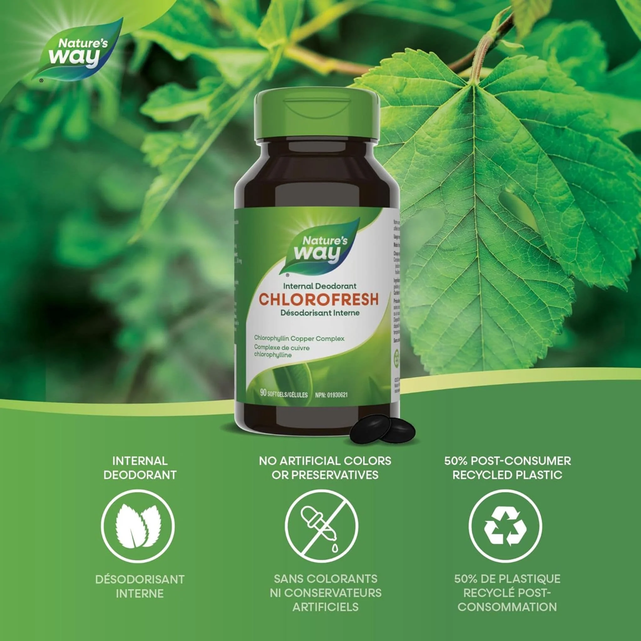Nature's Way Chlorofresh, 90 Capsules CLEARANCE 75% Off Exp 3/26 Final Sale - Image 4