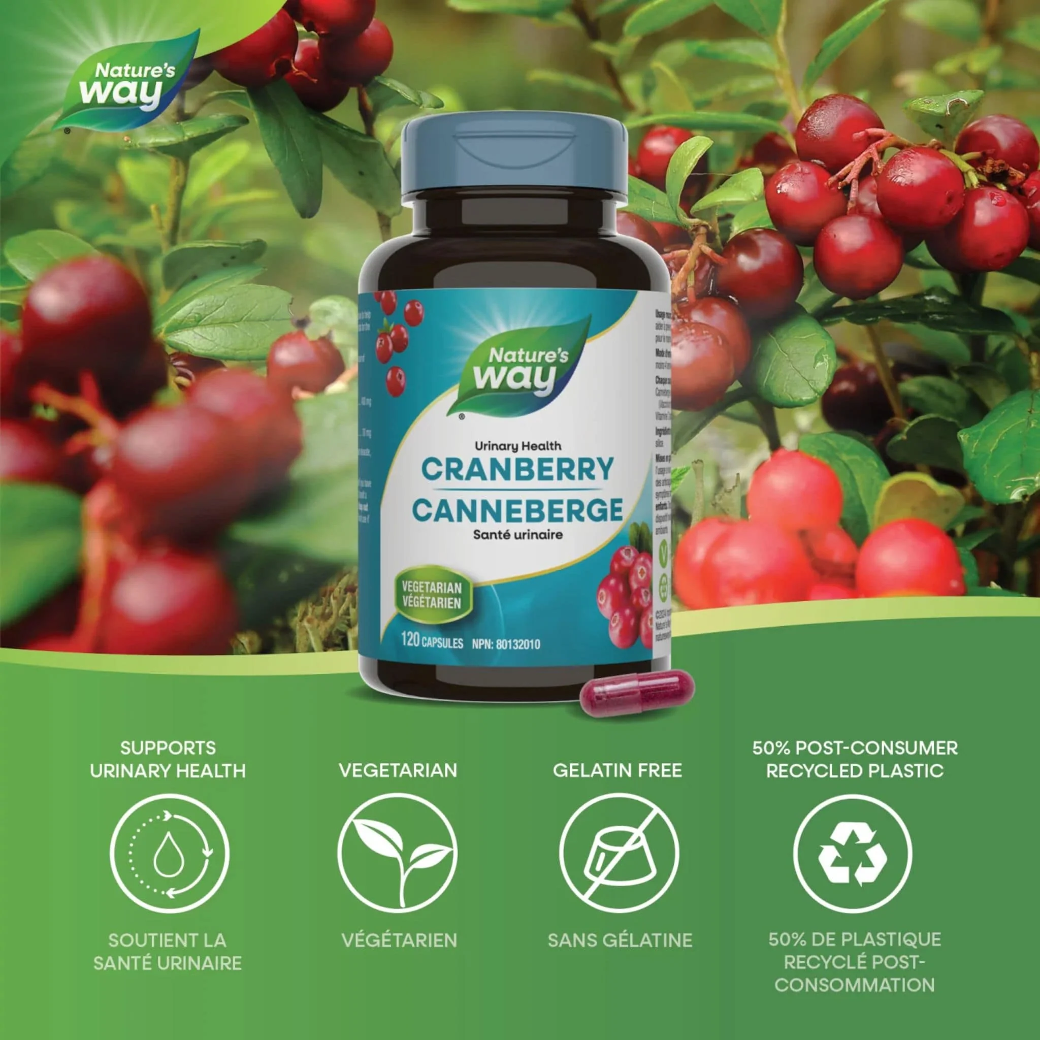 Nature's Way Cranberry Extract Capsules, Supports Urinary Health and Helps Prevent Recurrent UTIs, 120 Vegetable Capsules - Image 5