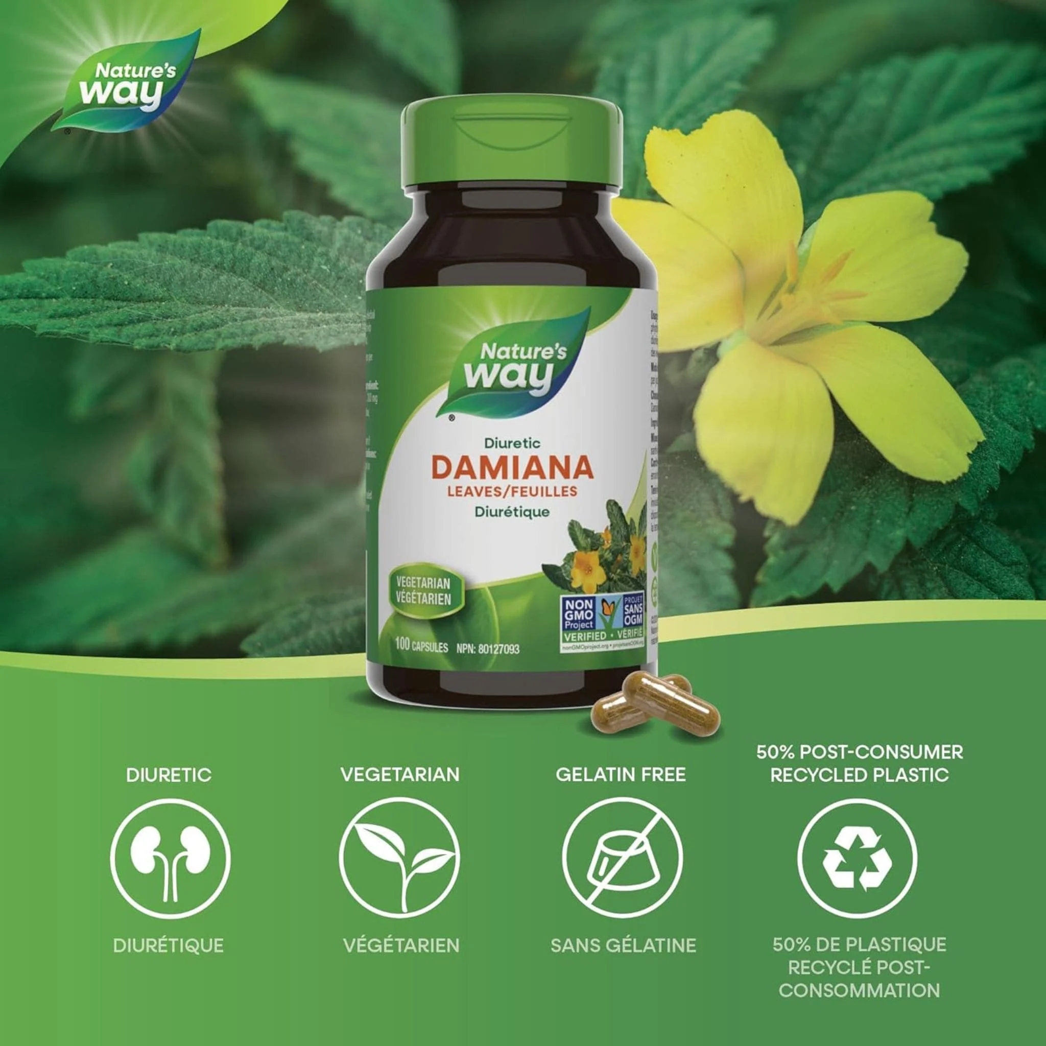 Nature's Way Damiana Leaves 400mg, 100 VCaps - Image 3