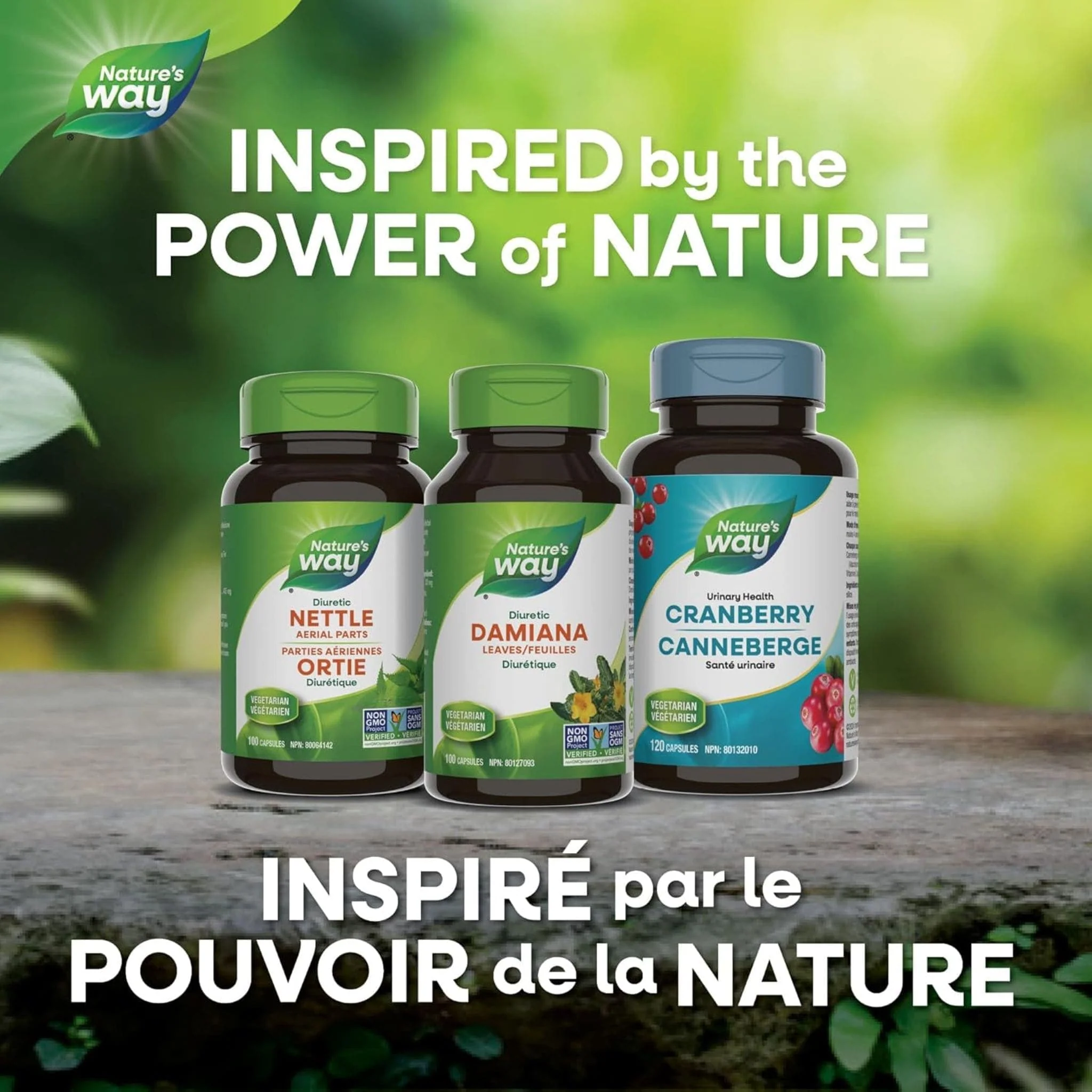 Nature's Way Damiana Leaves 400mg, 100 VCaps - Image 8