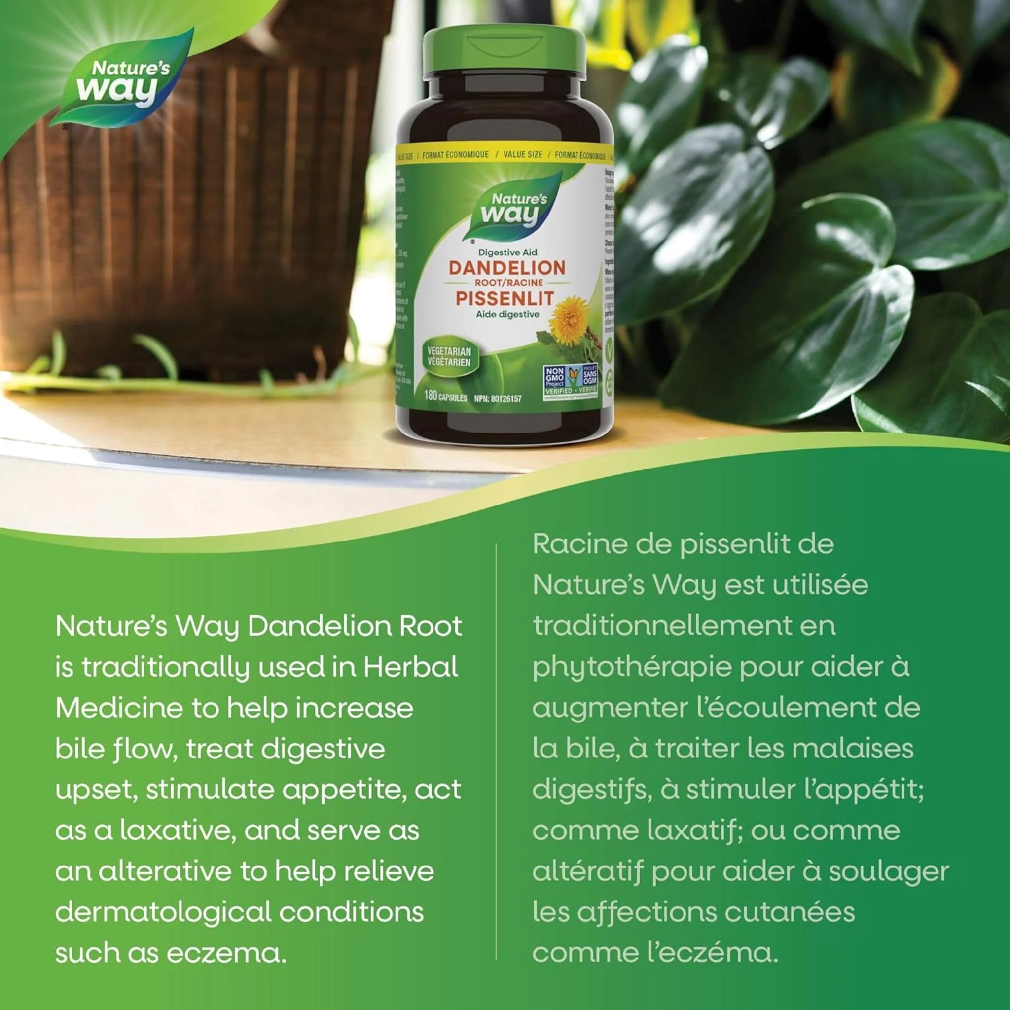 Nature's Way Dandelion Root - Image 11