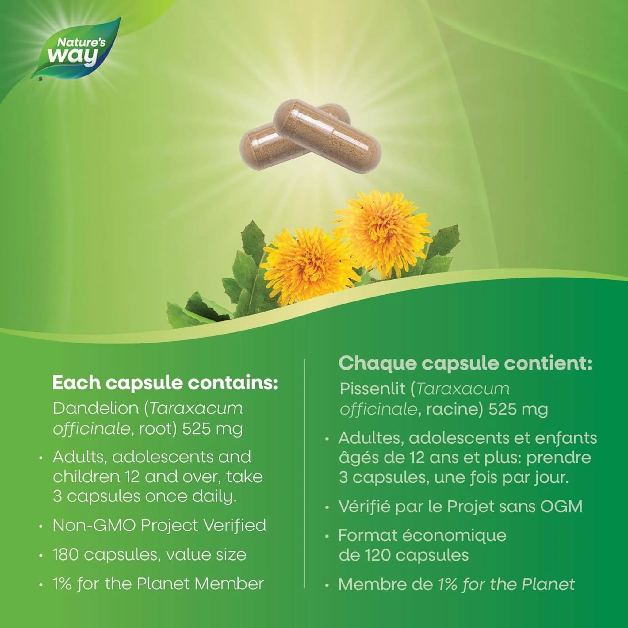 Nature's Way Dandelion Root - Image 12