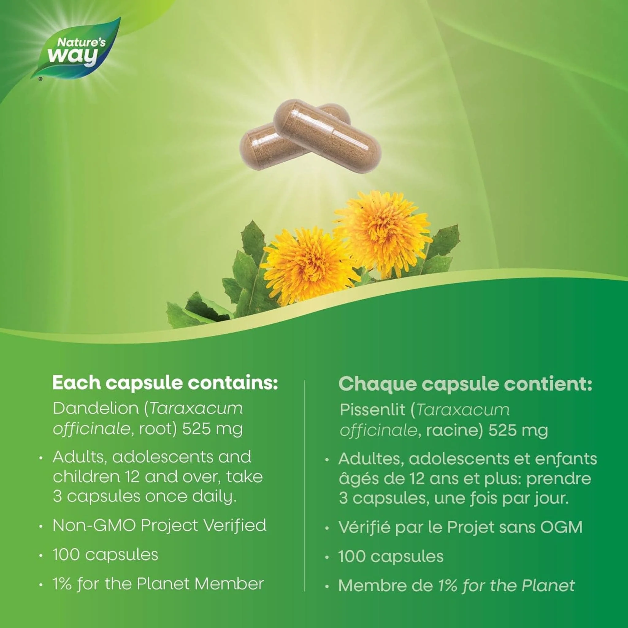 Nature's Way Dandelion Root - Image 5