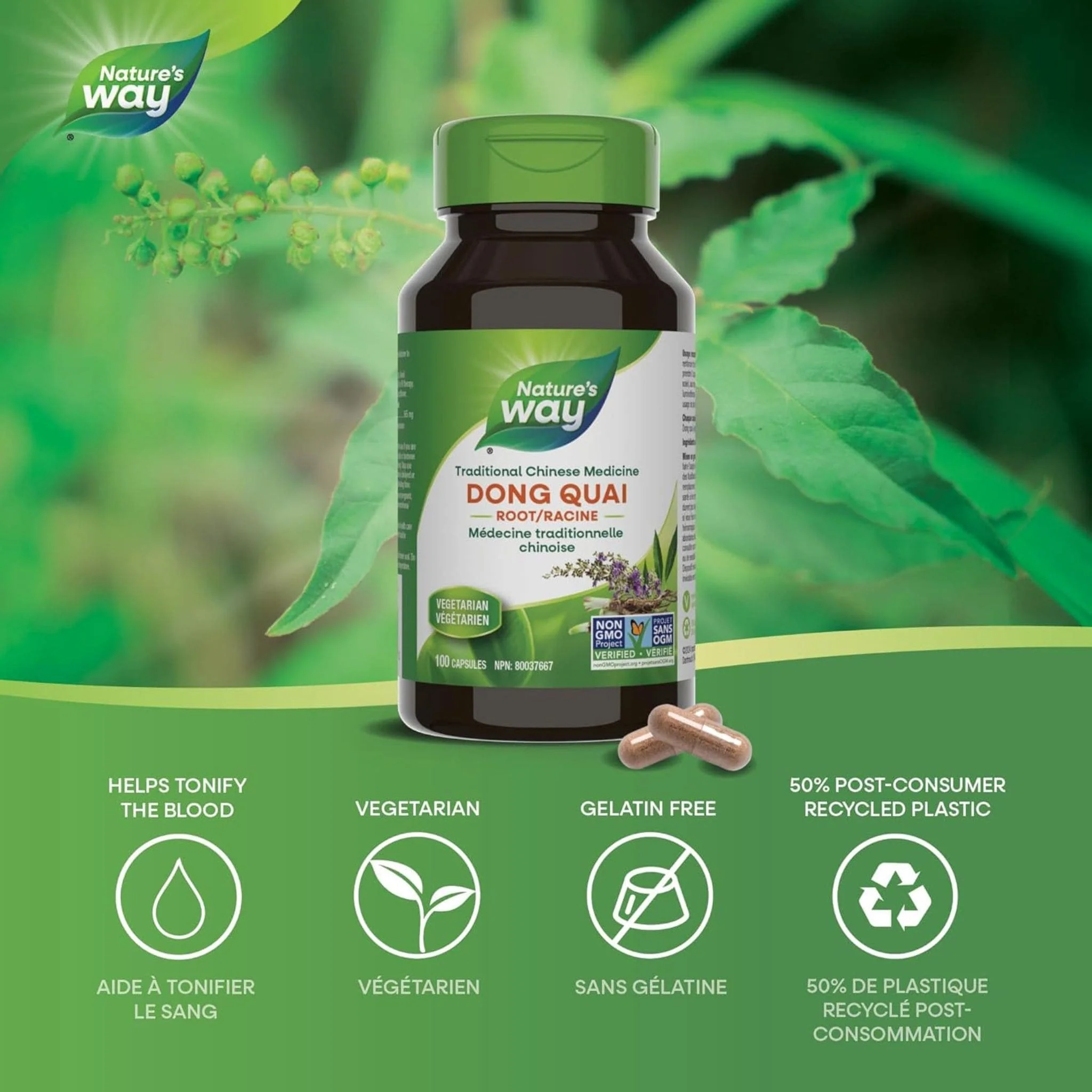 Nature's Way Dong Quai Root, 100 Capsules - Image 3