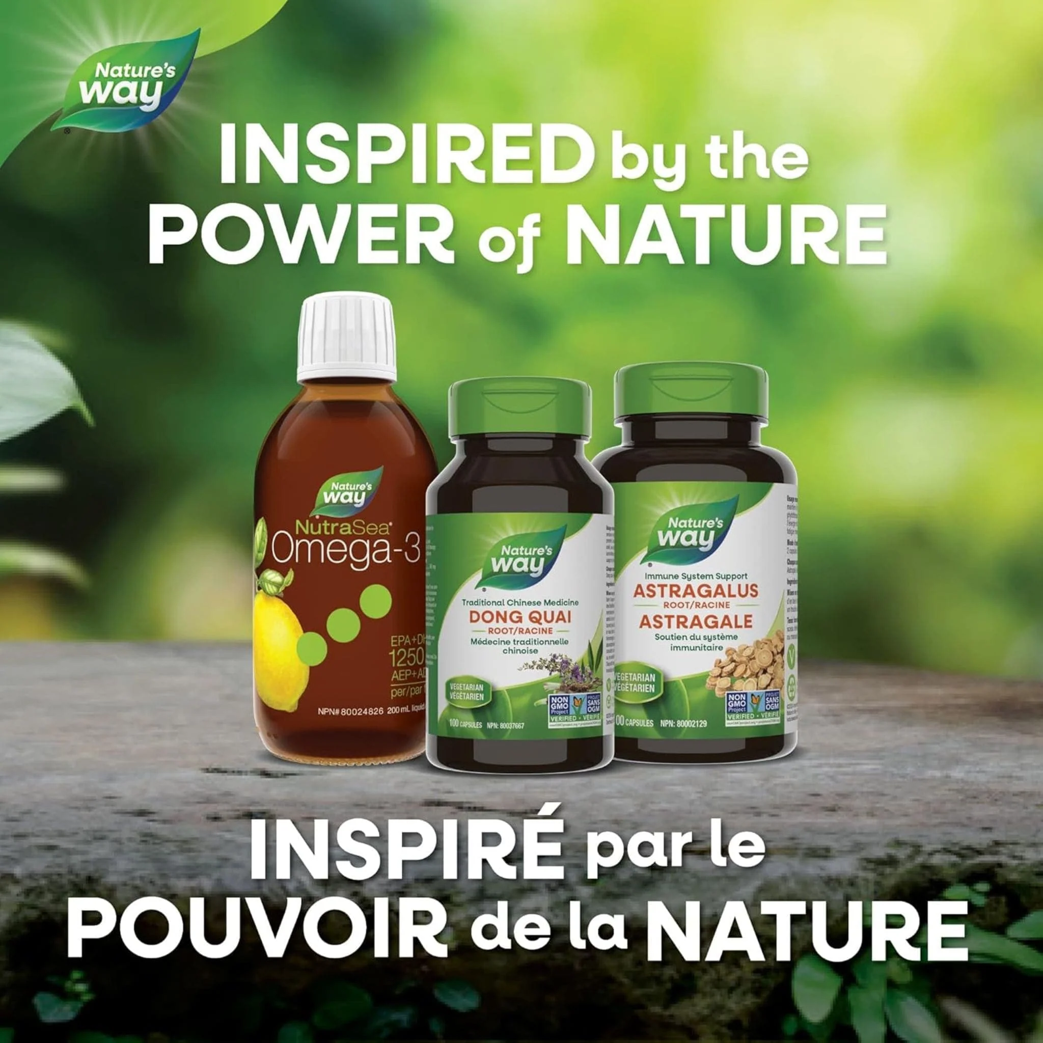 Nature's Way Dong Quai Root, 100 Capsules - Image 8