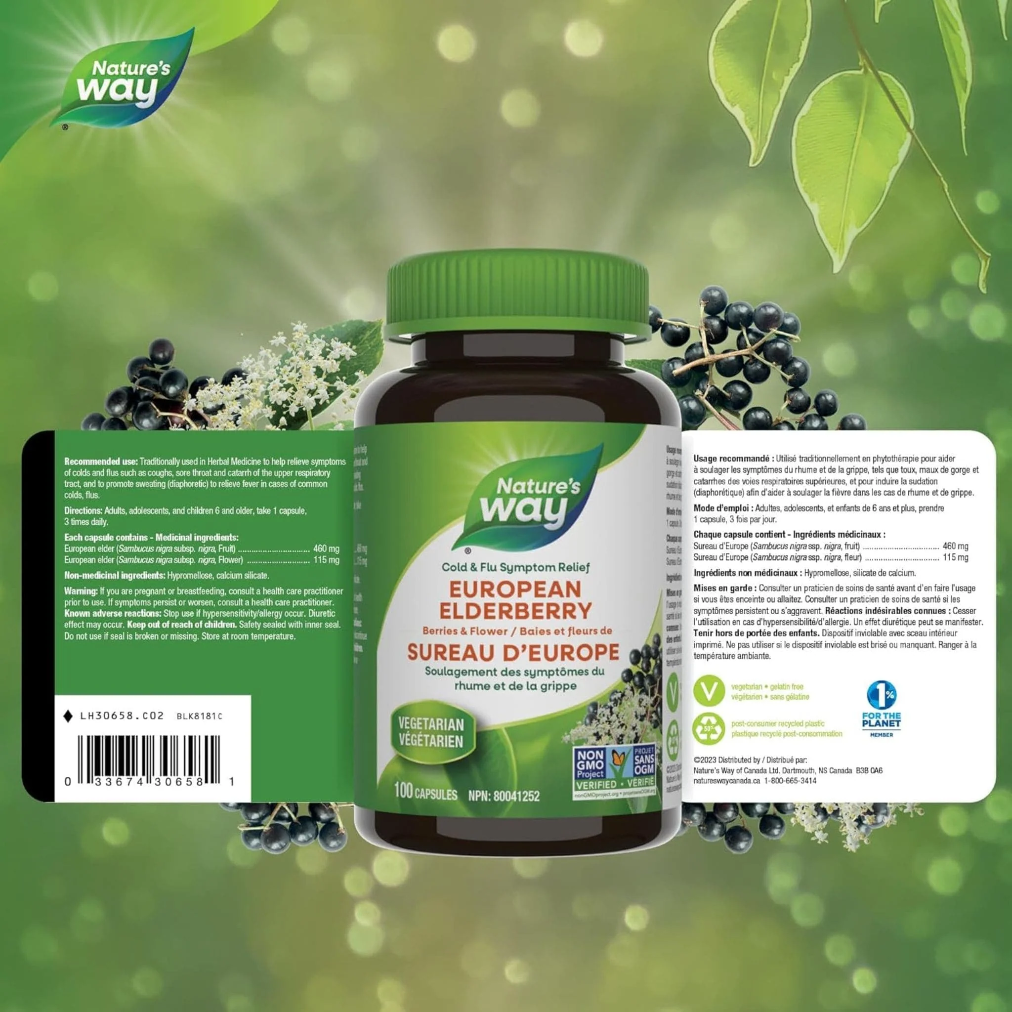 Nature's Way European Elderberry, 100 Capsules - Image 2
