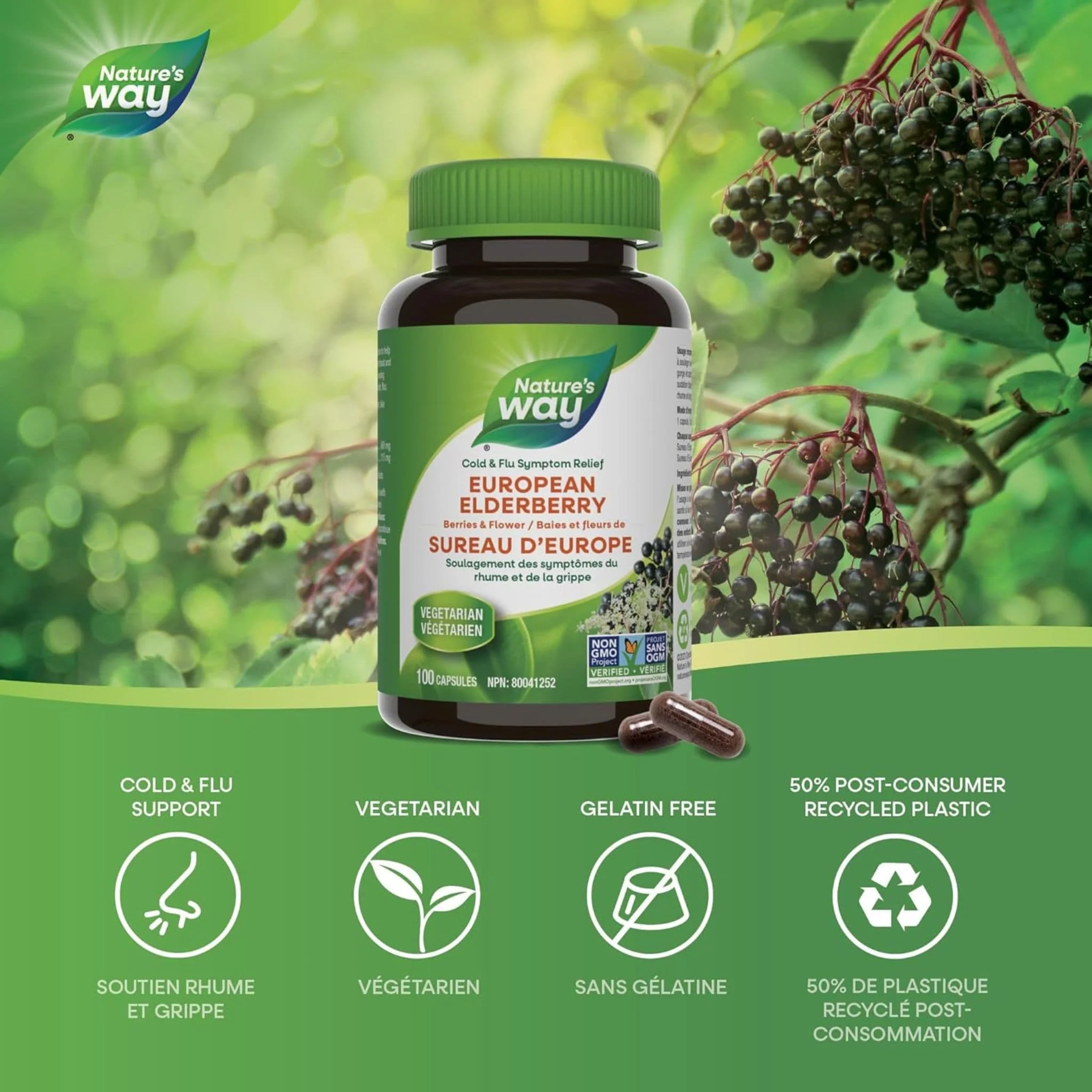 Nature's Way European Elderberry, 100 Capsules - Image 3