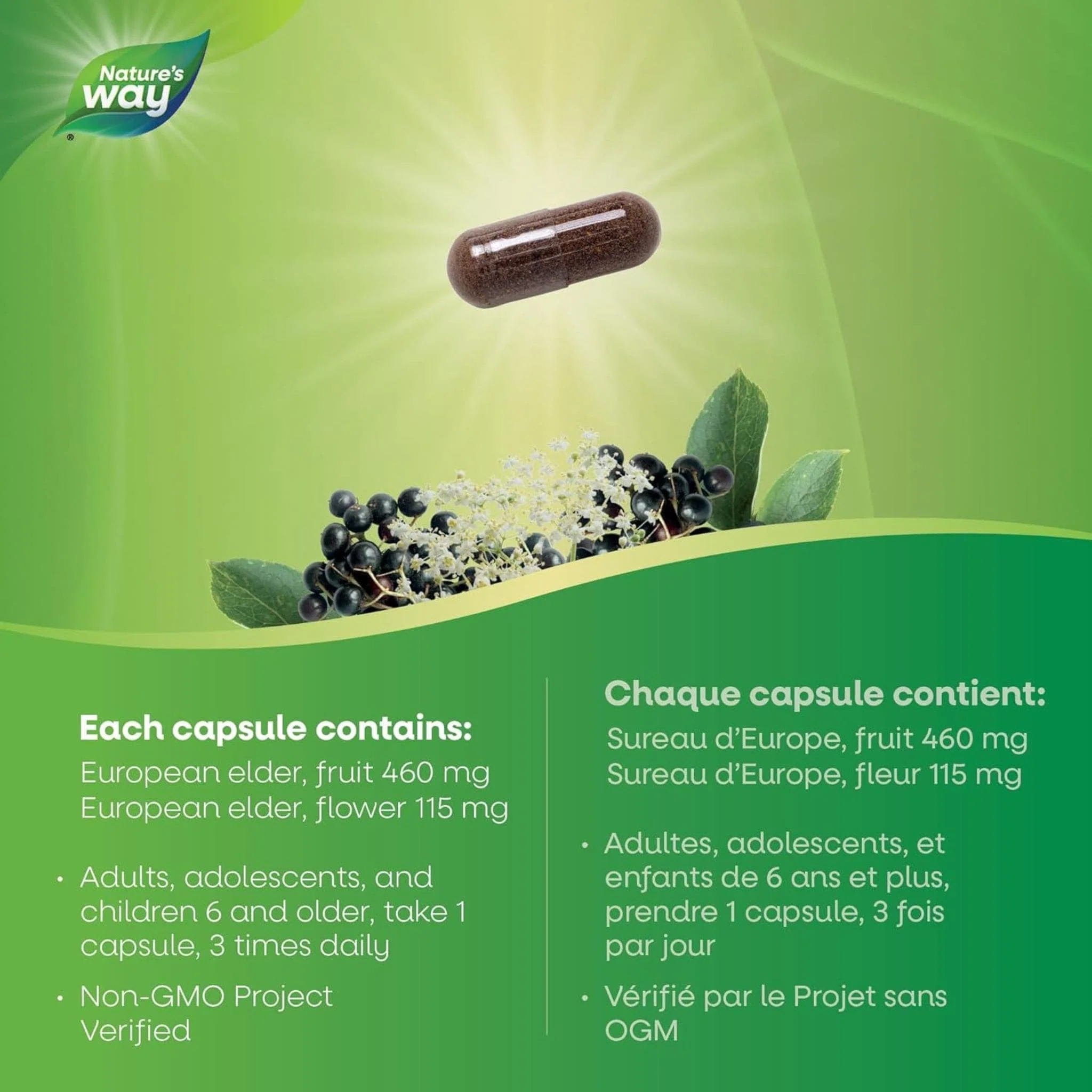 Nature's Way European Elderberry, 100 Capsules - Image 5