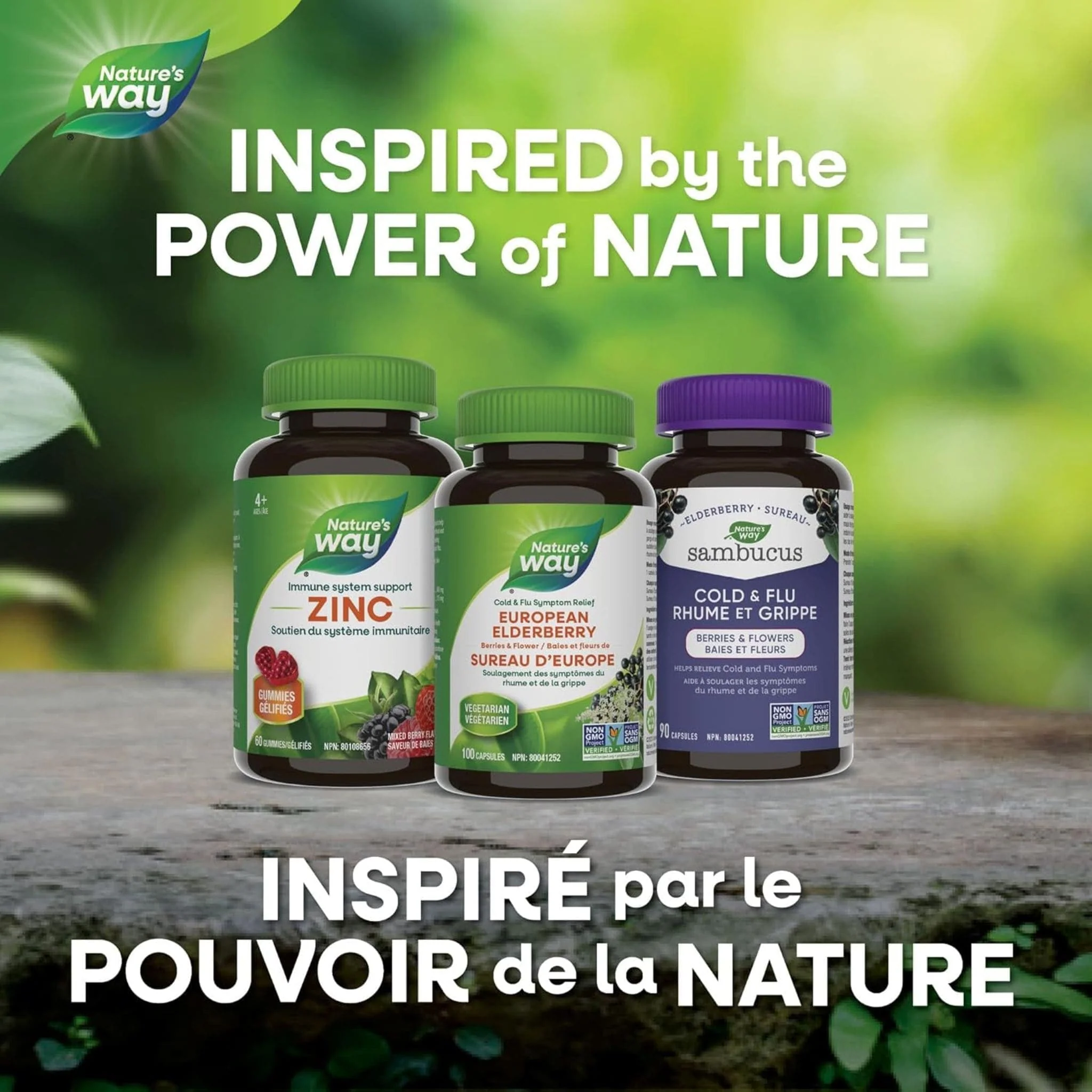 Nature's Way European Elderberry, 100 Capsules - Image 7