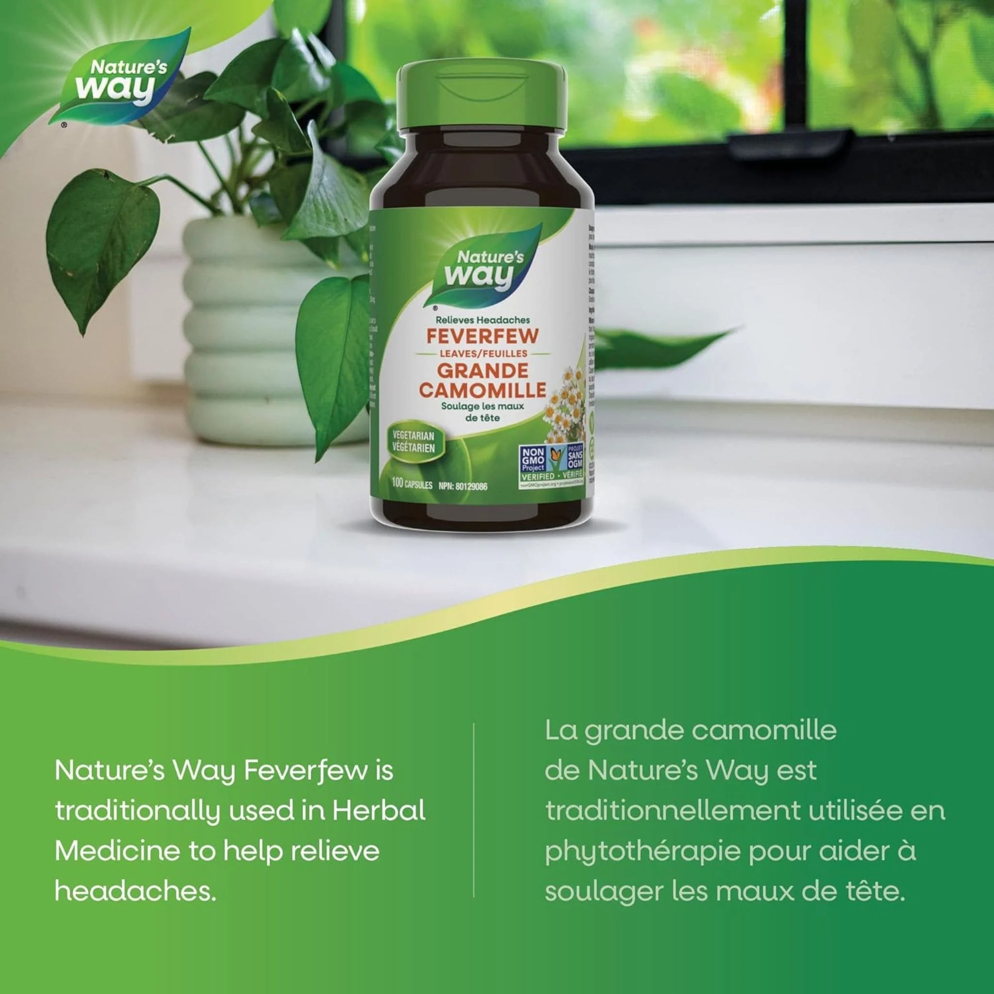 Nature's Way Feverfew Leaves 380mg, 100 Vegetable Capsules - Image 4