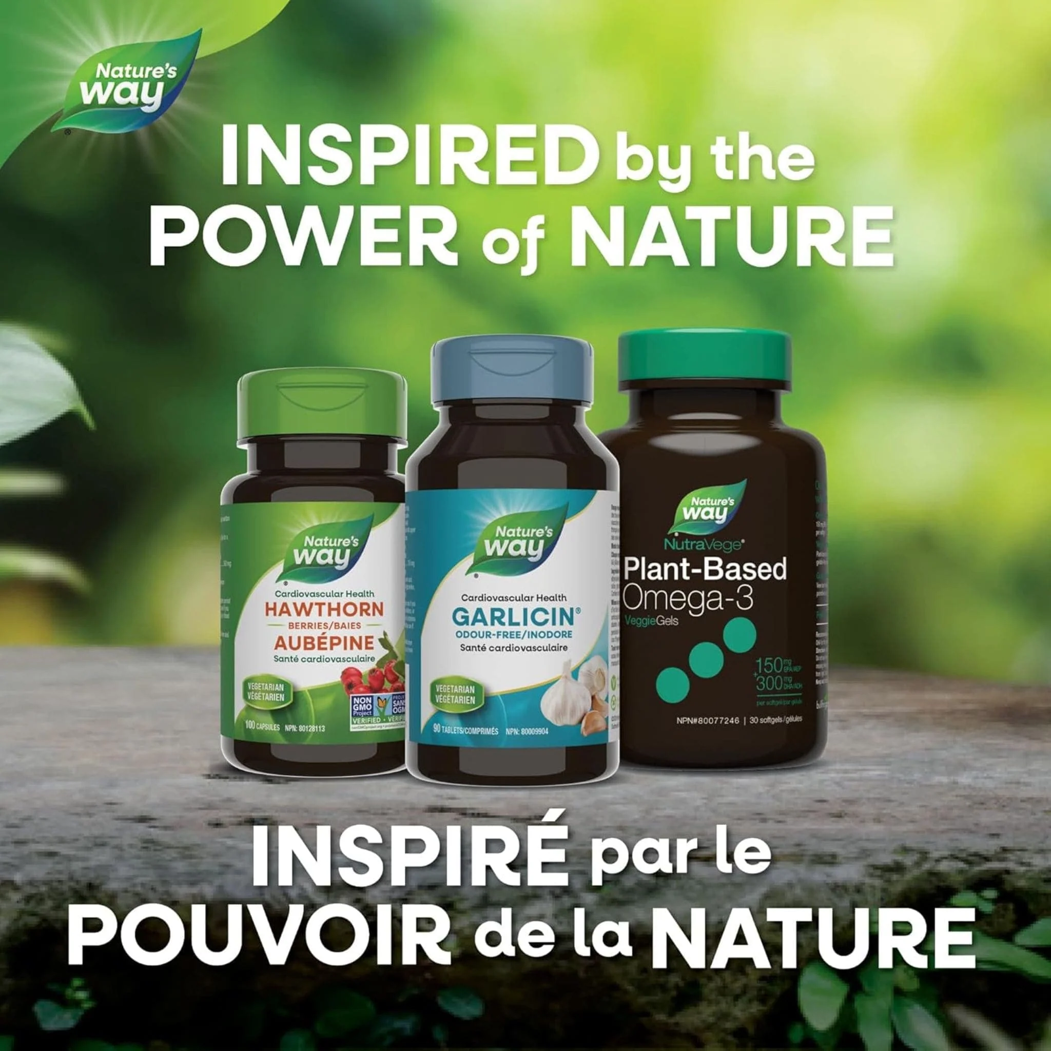 Nature's Way Garlicin, Odor-Free Garlic (Optimized Absorption), 90 SmartRelease Tablets - Image 7