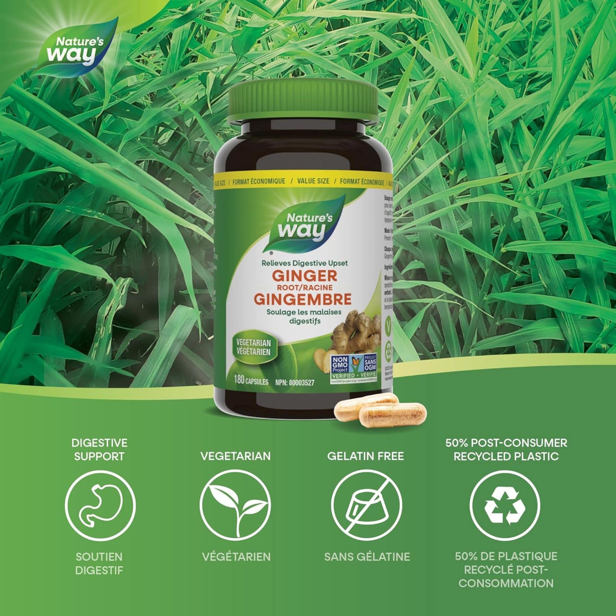Nature's Way Ginger Root - Image 10