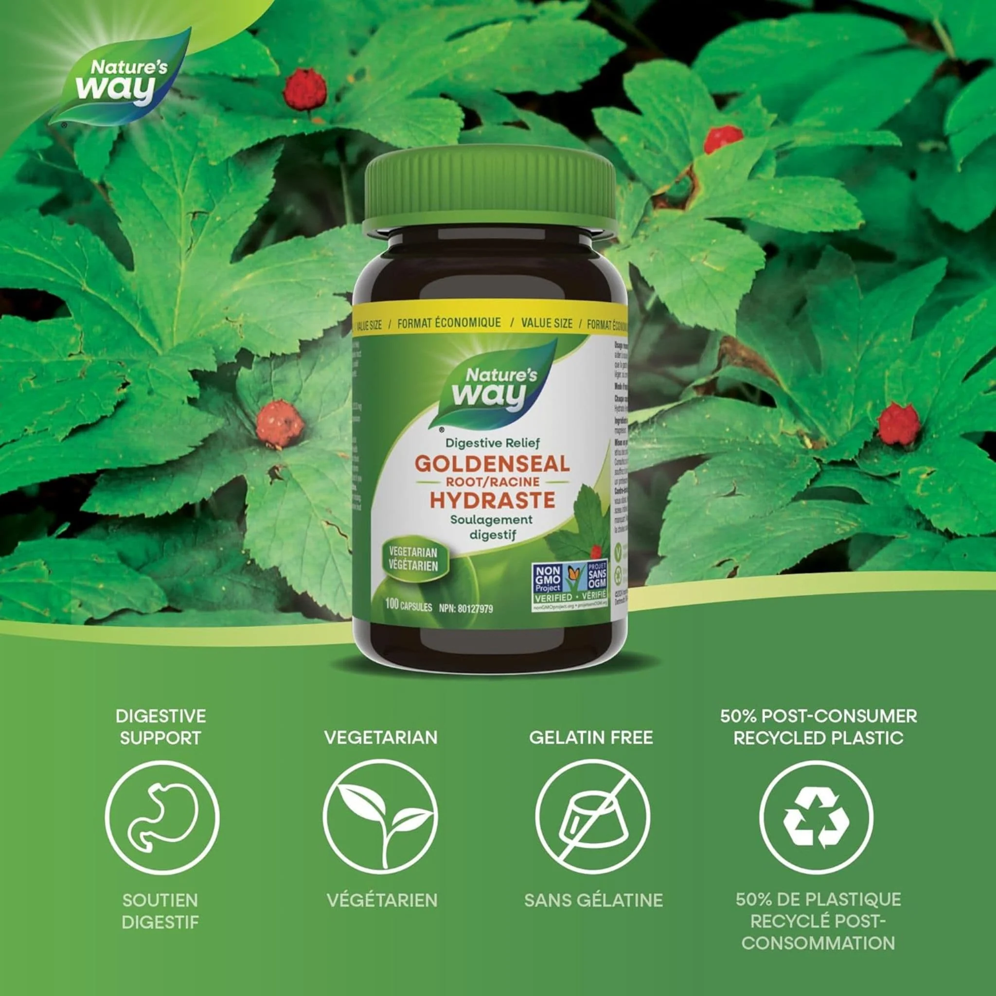 Nature's Way Goldenseal Root - Image 10