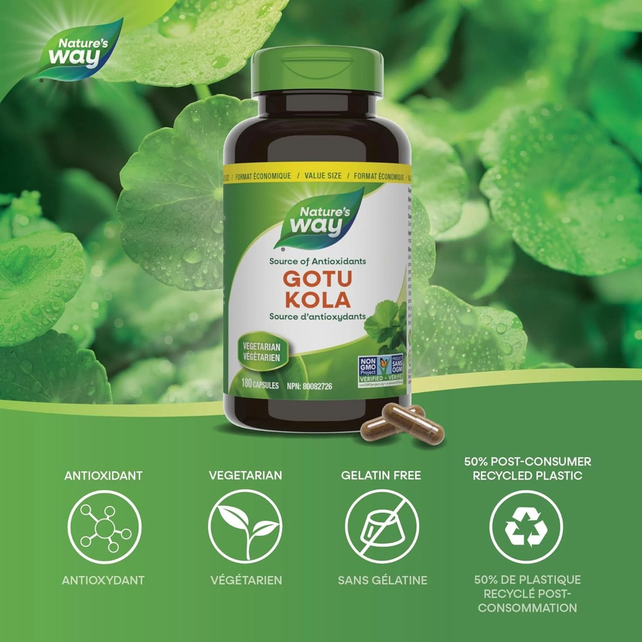 Nature's Way Gotu Kola 475mg Capsules - Image 10