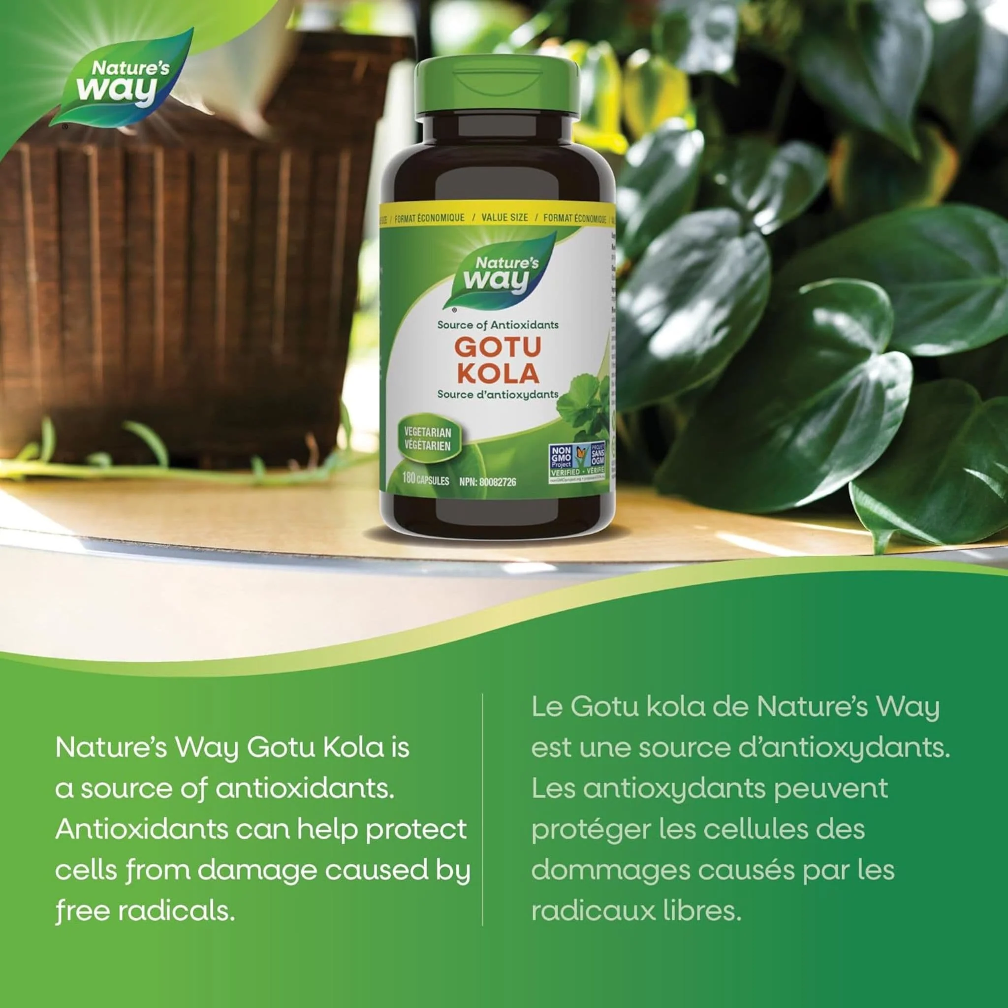 Nature's Way Gotu Kola 475mg Capsules - Image 11