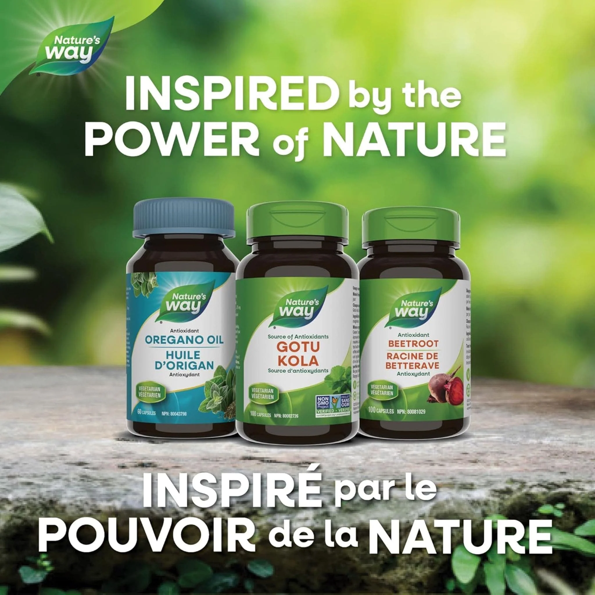 Nature's Way Gotu Kola 475mg Capsules - Image 14