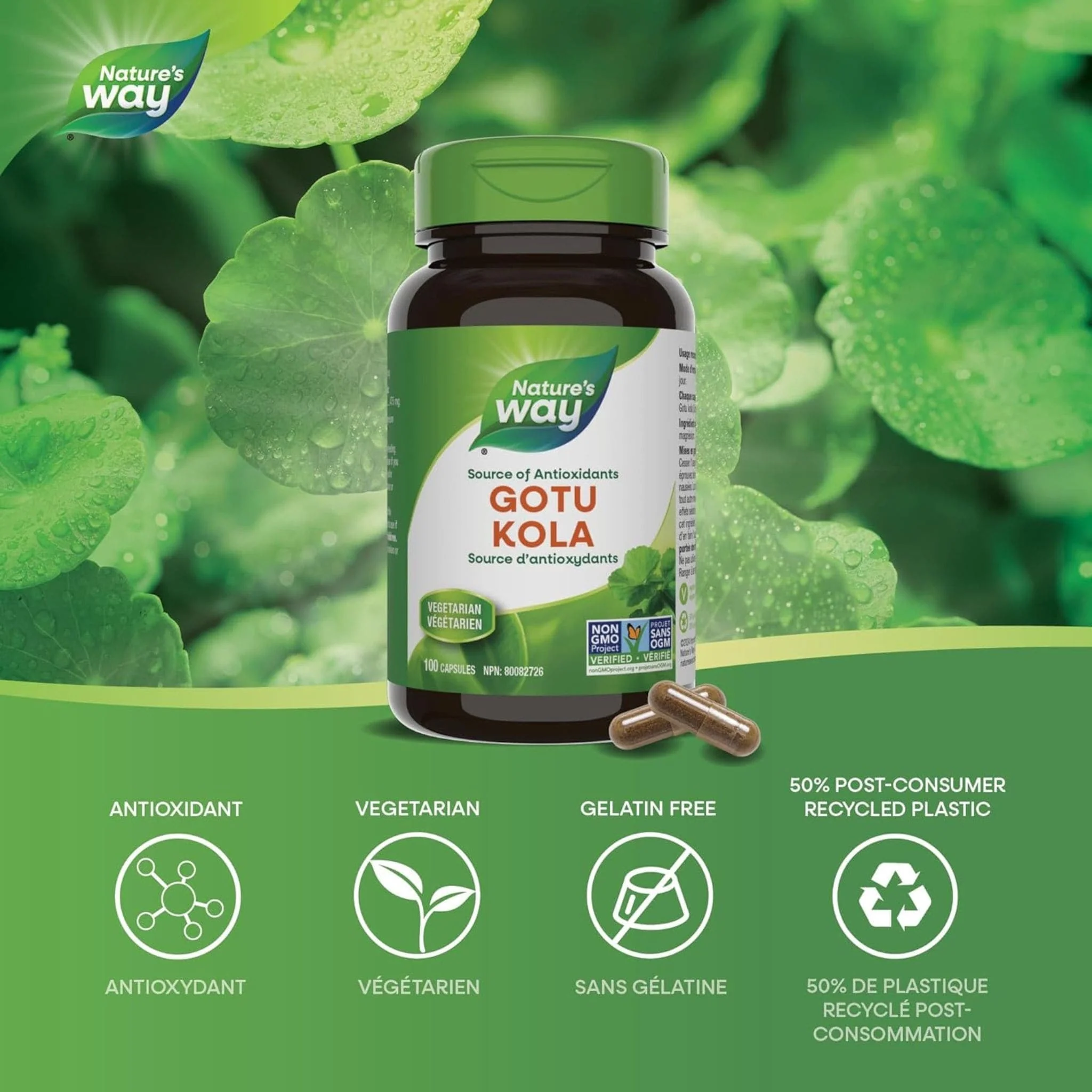 Nature's Way Gotu Kola 475mg Capsules - Image 3