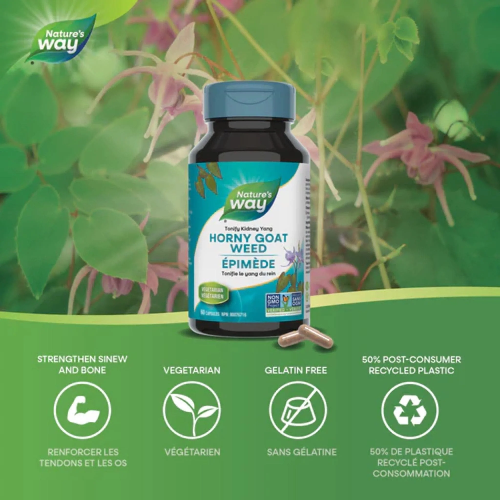 Nature's Way Horny Goat Weed Standardized Extract, 60 Vegetable Capsules - Image 2