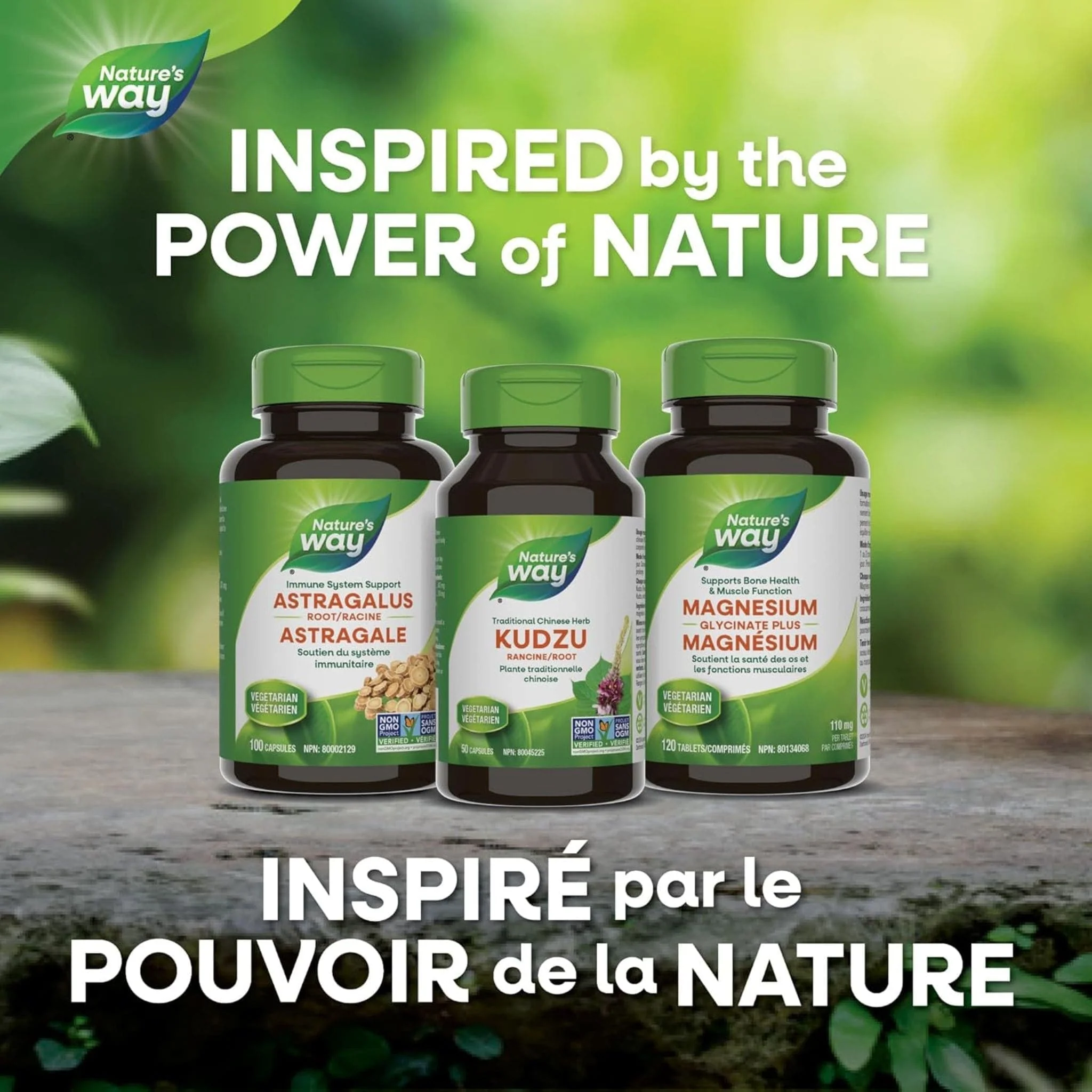 Nature's Way Kudzu Root, 50 Capsules - Image 8