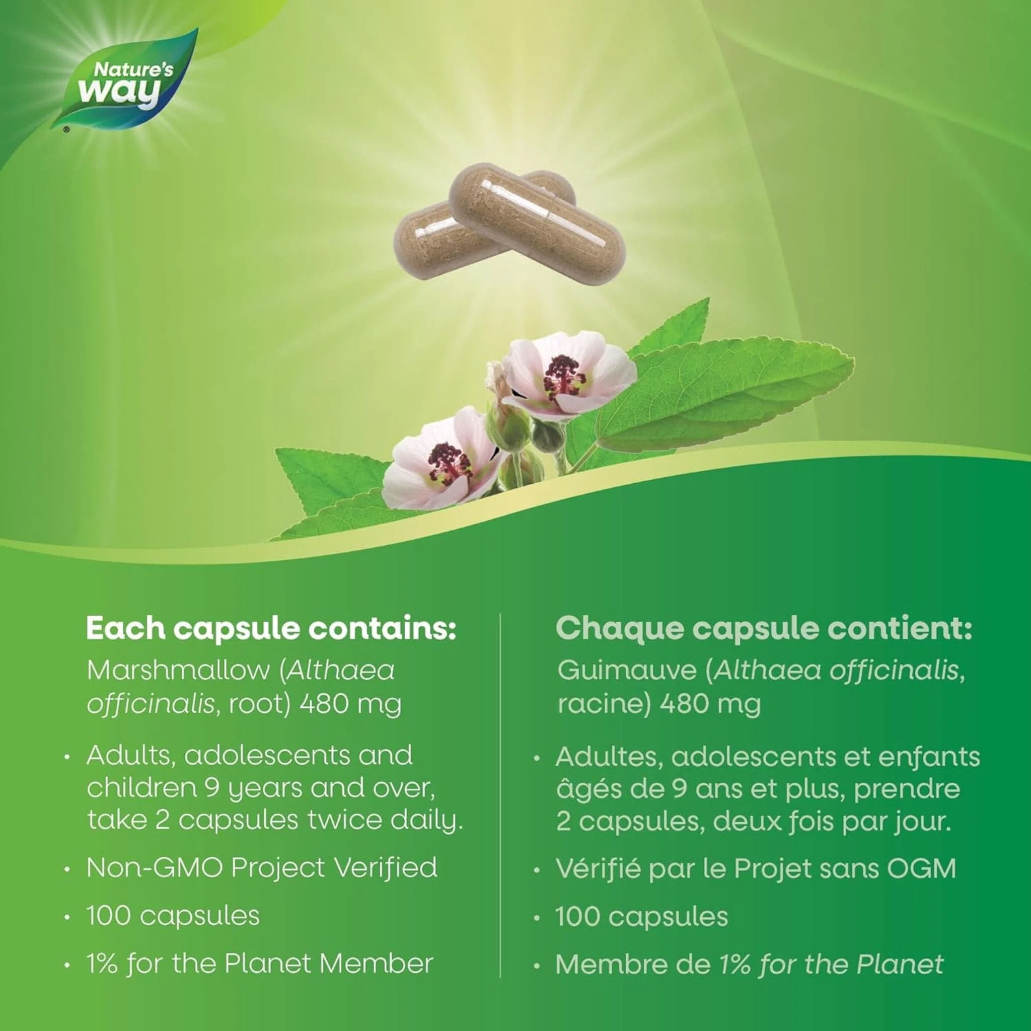 Nature's Way Marshmallow Root, 100 Vegetable Capsules - Image 6
