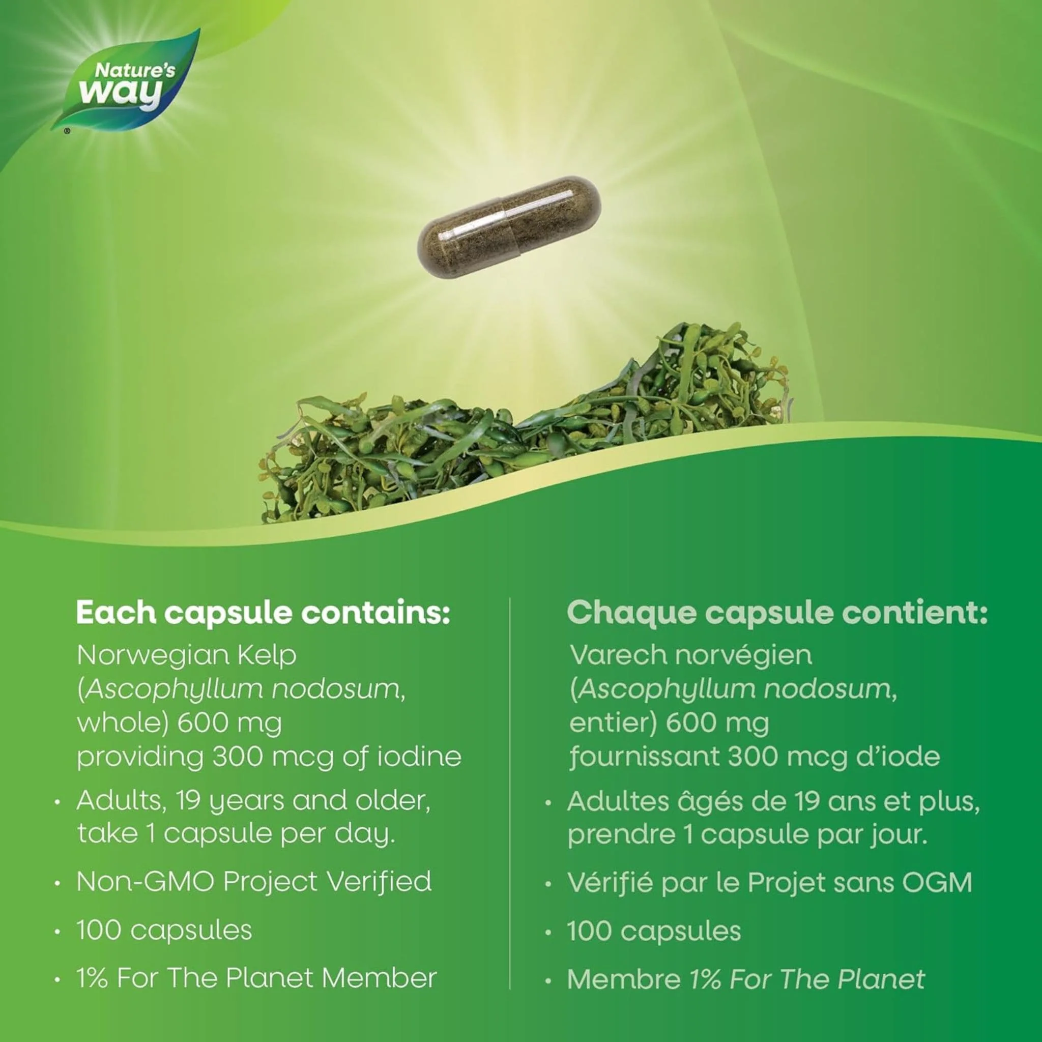 Nature's Way Kelp Capsules - Image 13