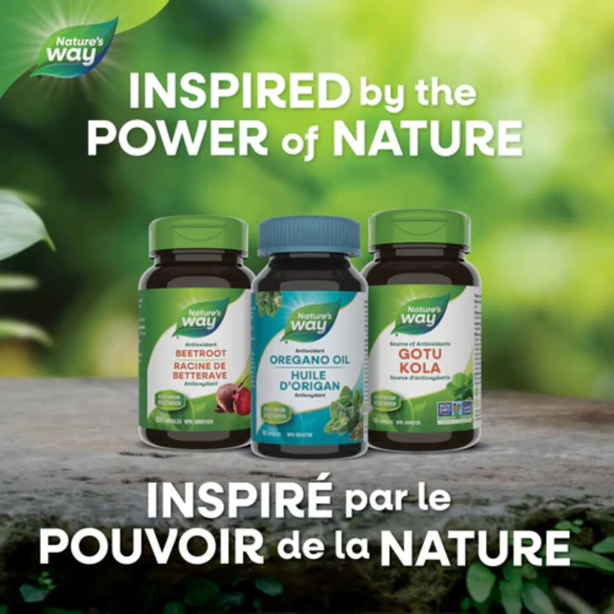 Nature's Way Oregano Oil Standardized 50mg - Image 6
