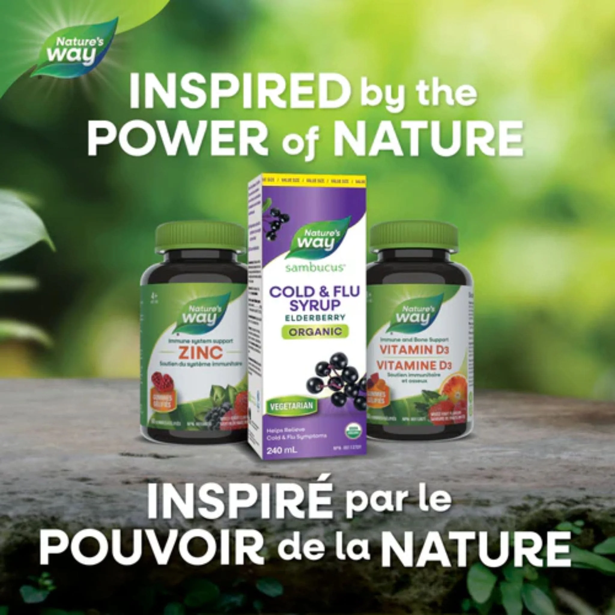 Nature's Way Organic Sambucus Syrup, Standardized Elderberry Syrup - Image 11
