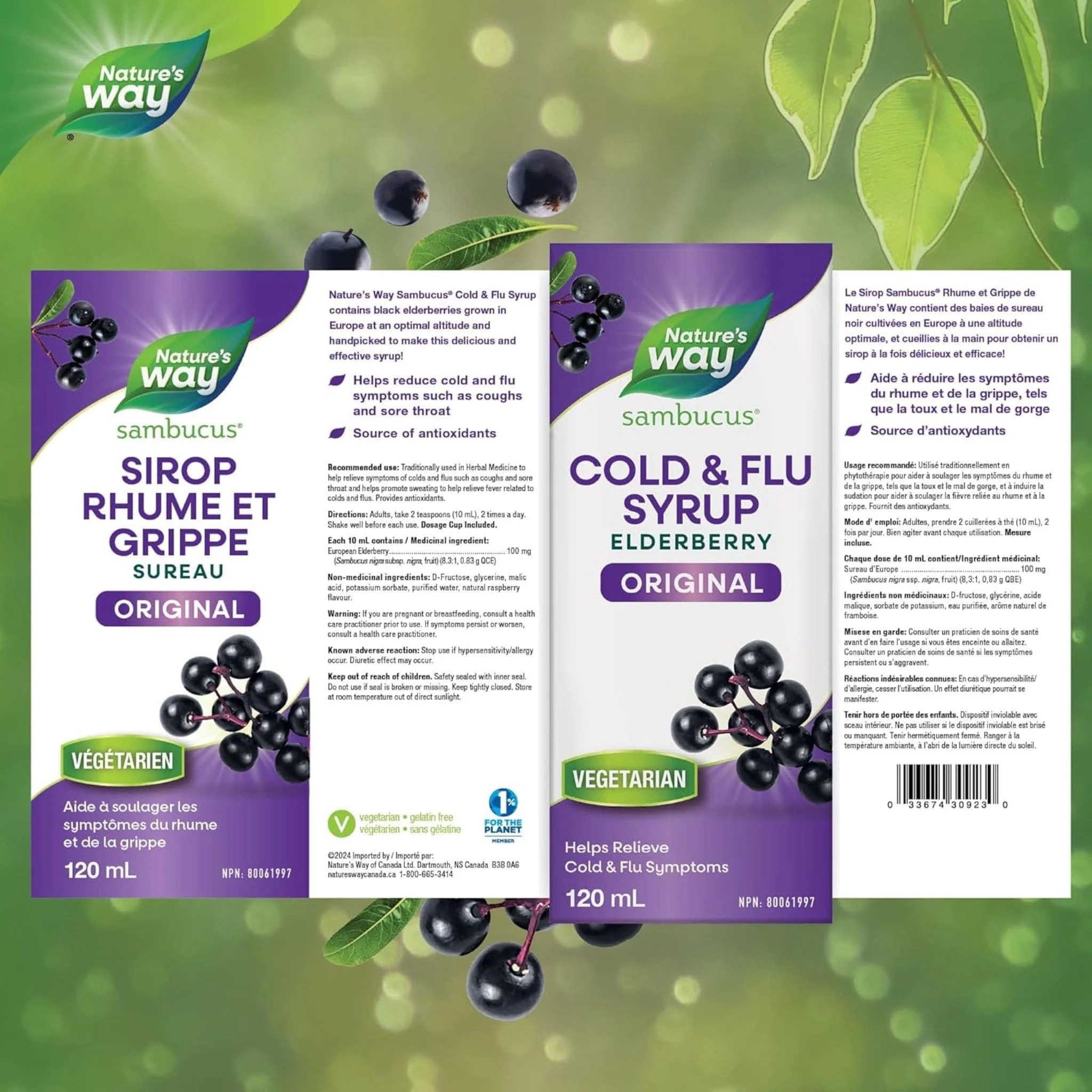 Nature's Way Organic Sambucus Syrup, Standardized Elderberry Syrup - Image 2