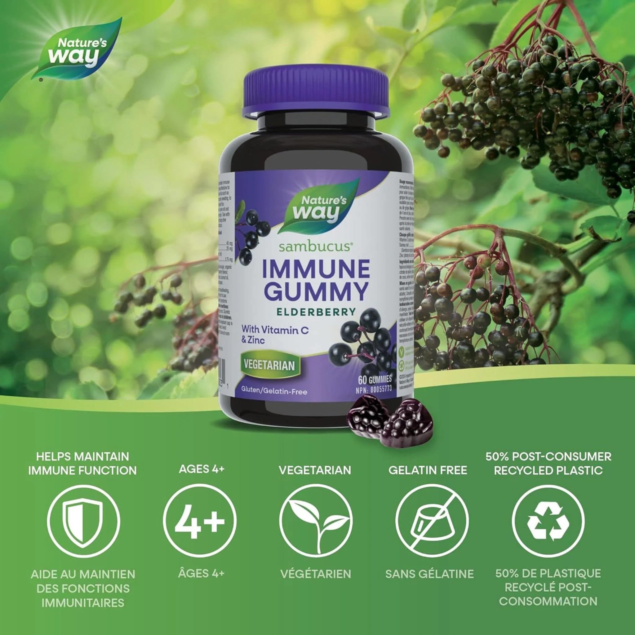 Nature's Way Sambucus Immune Gummies, Cold and Flu Relief, 60 Elderberry Gummies - Image 3