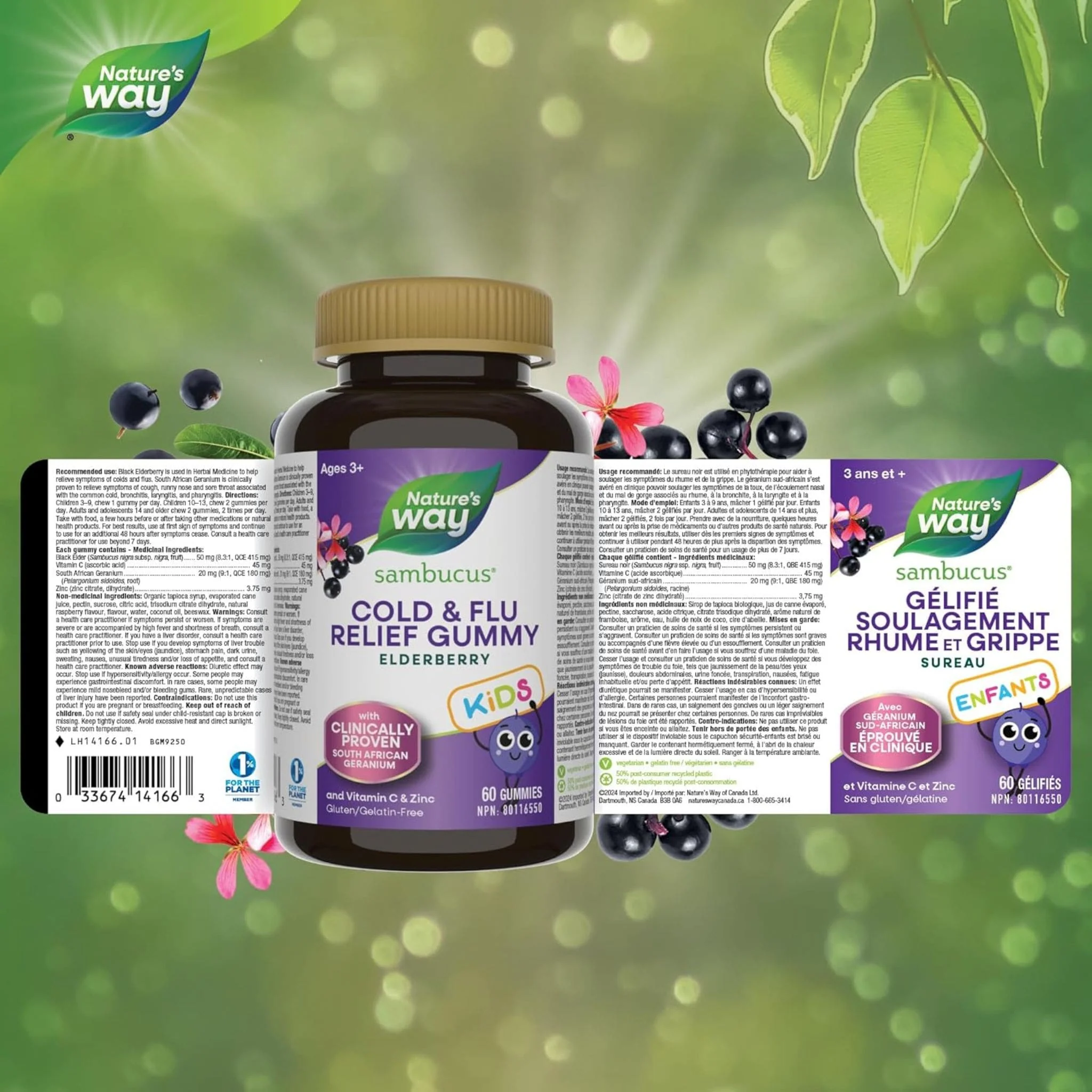 Nature's Way Sambucus Relief Kids Gummies, 60 Gummies - Image 3