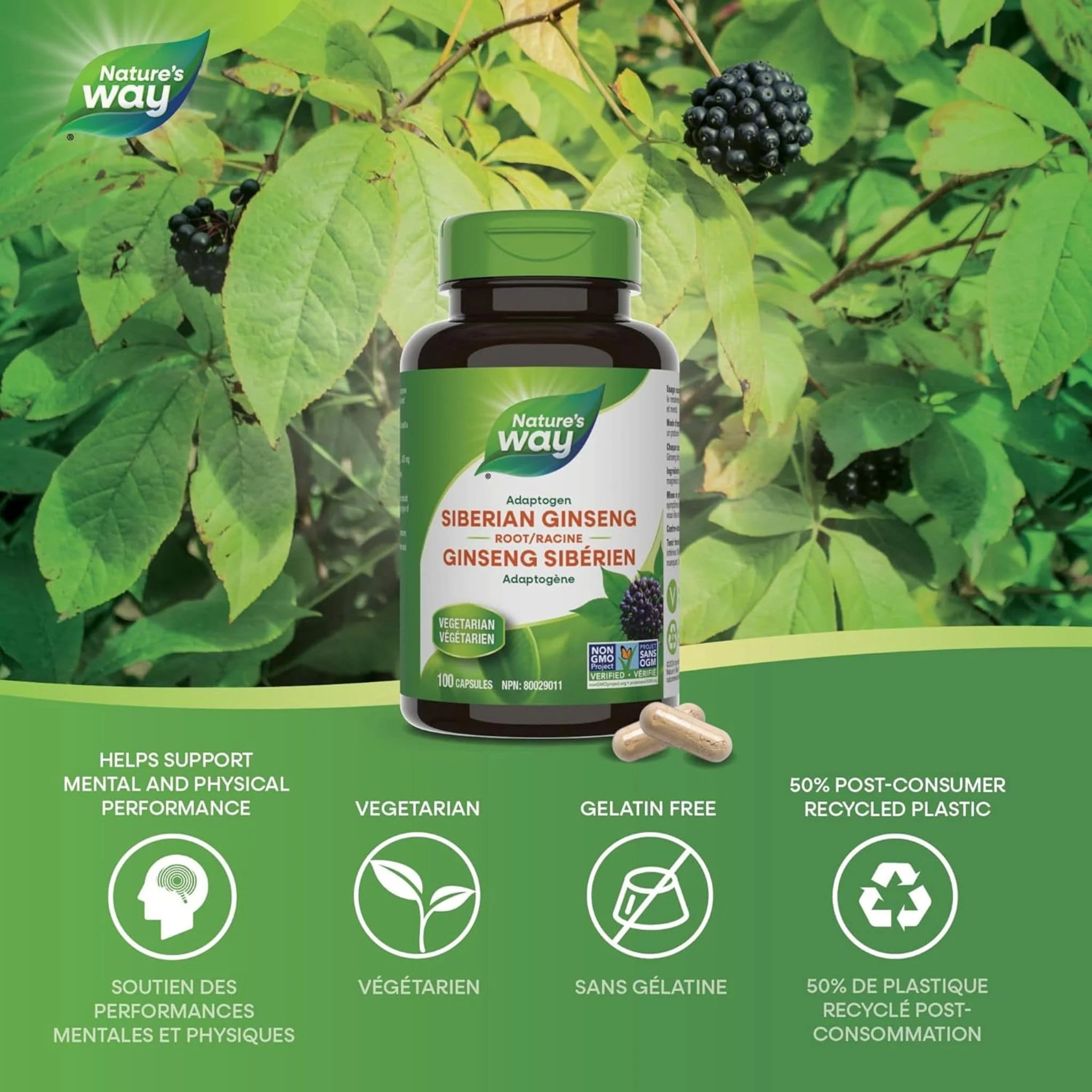 Nature's Way Siberian Ginseng Root, 100 Vegetable Capsules - Image 3