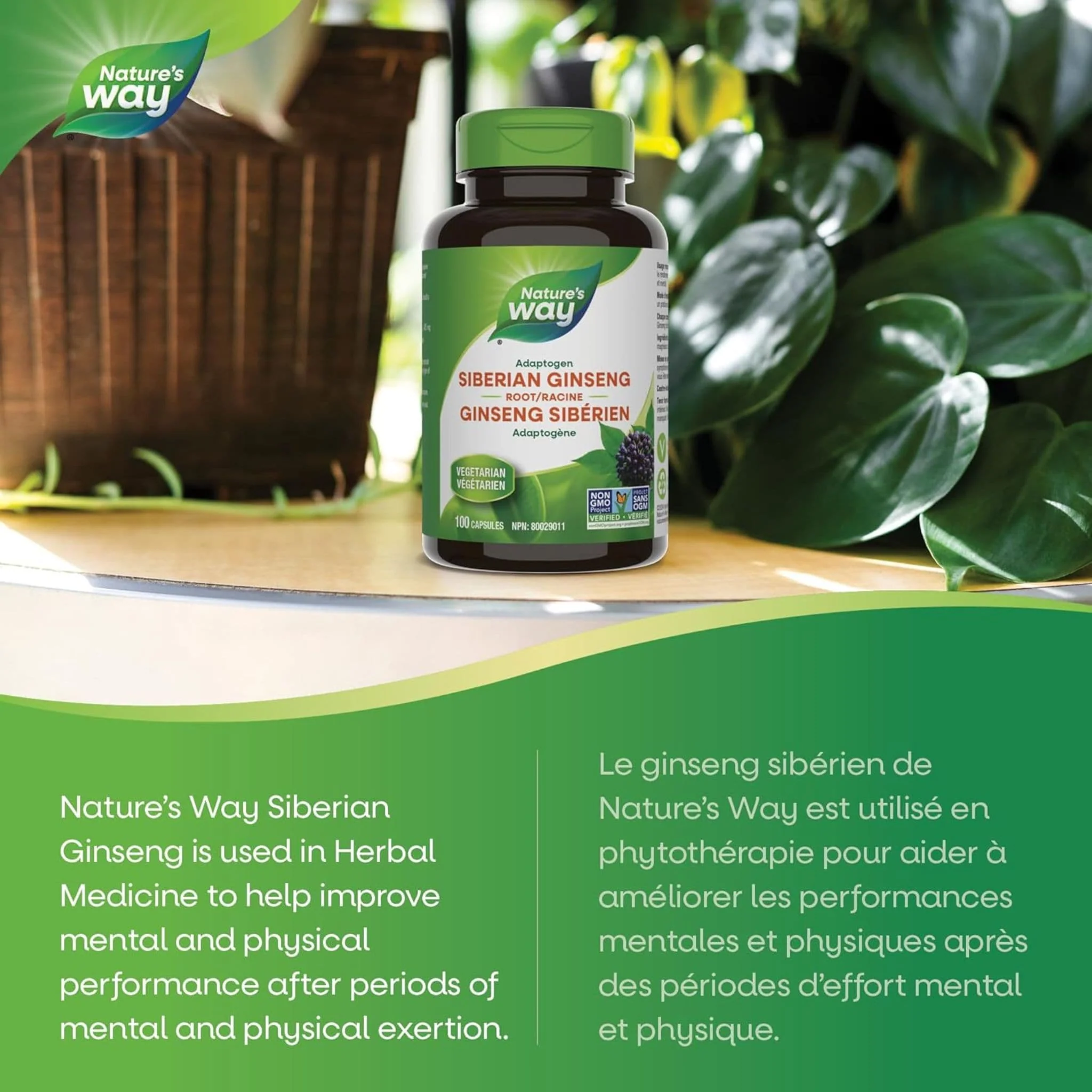 Nature's Way Siberian Ginseng Root, 100 Vegetable Capsules - Image 4