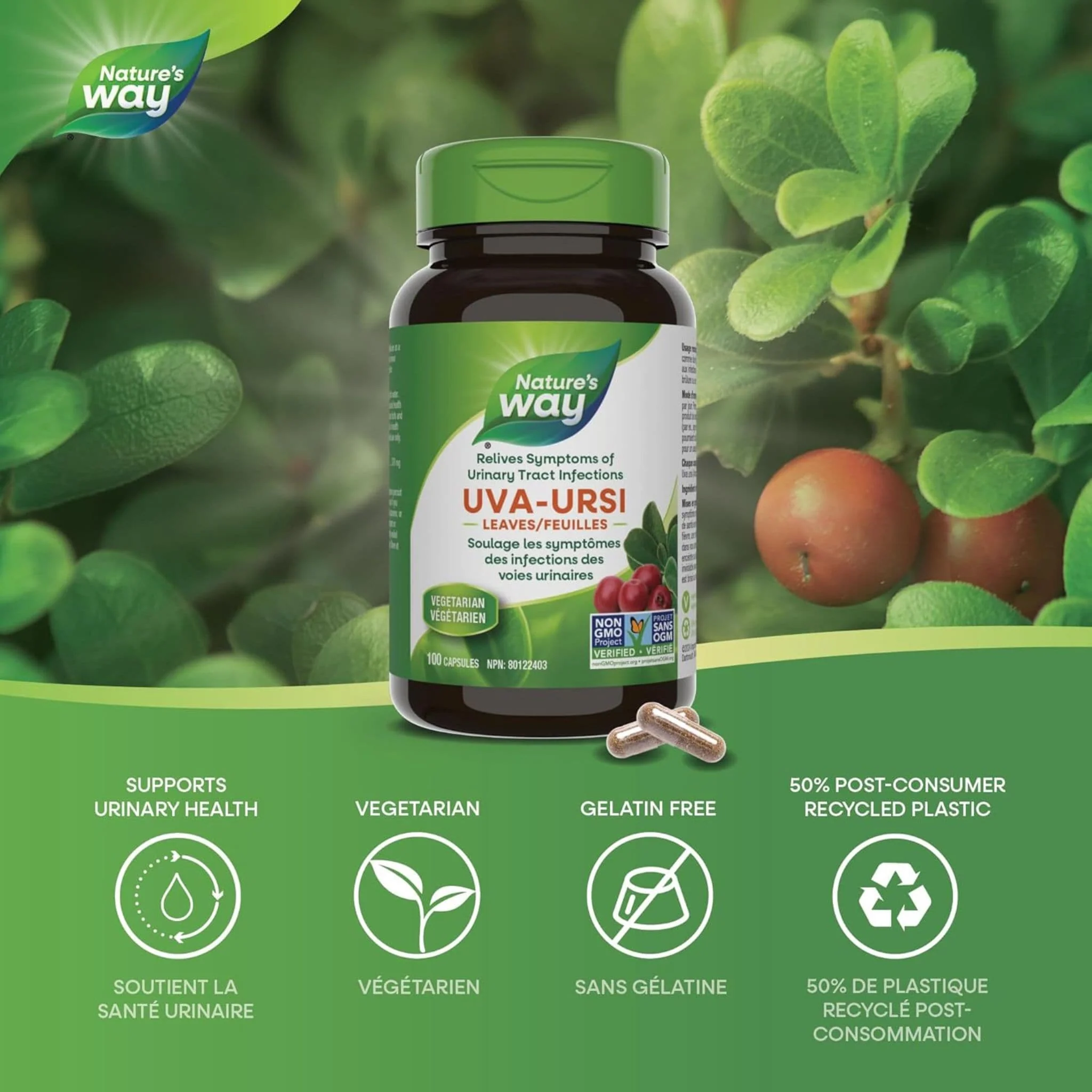 Nature's Way Uva Ursi Leaves 480mg, 100 Vegetable Capsules - Image 5