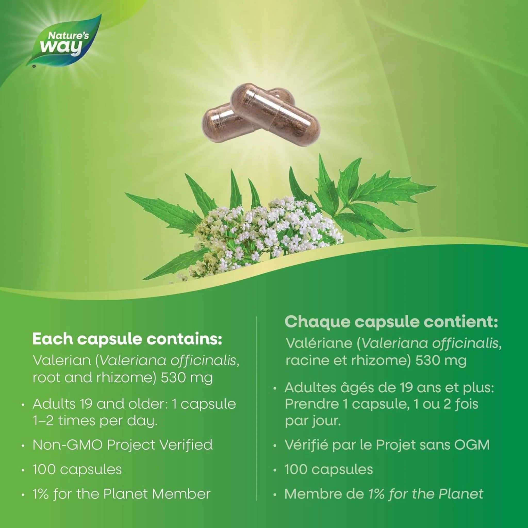 Nature's Way Valerian Root, 530mg - Image 5