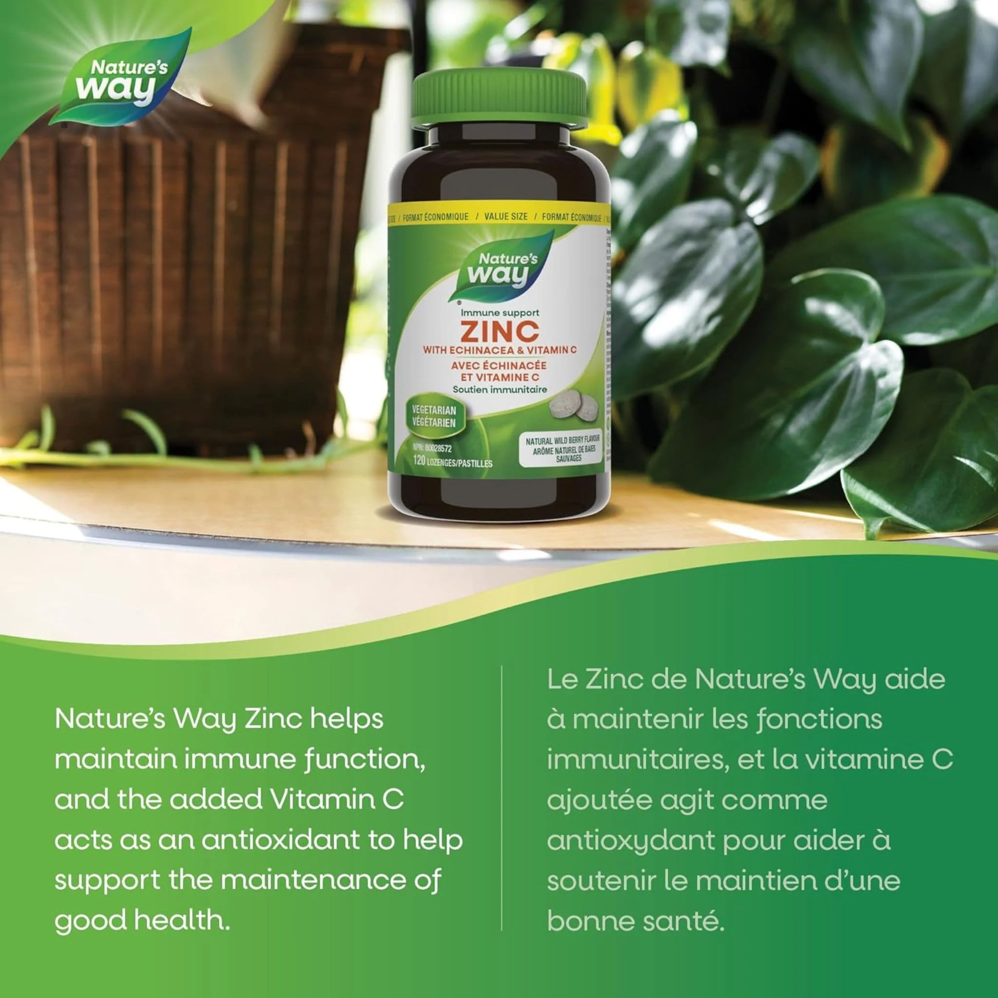 Nature's Way Zinc Lozenges 23mg with Echinacea & Vitamin C - Image 11