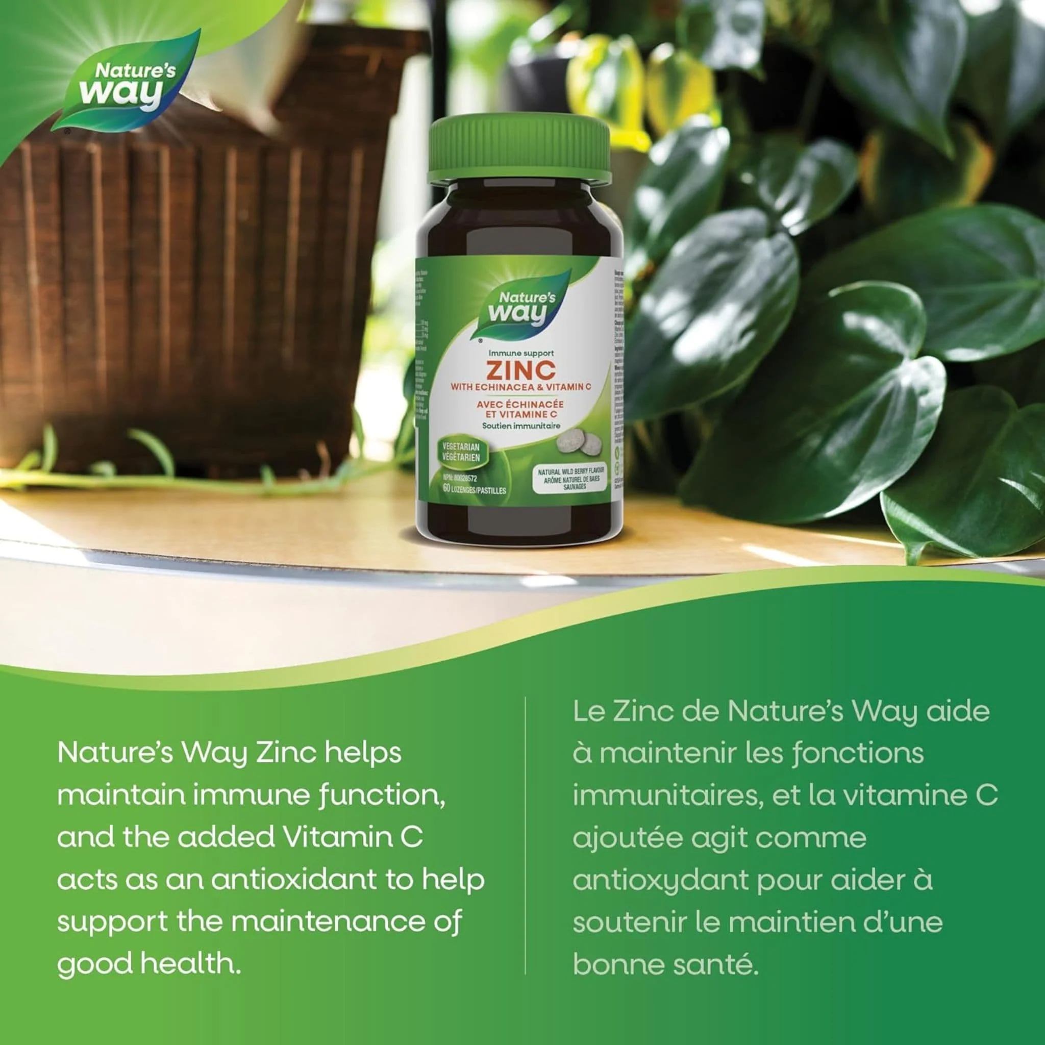 Nature's Way Zinc Lozenges 23mg with Echinacea & Vitamin C - Image 3