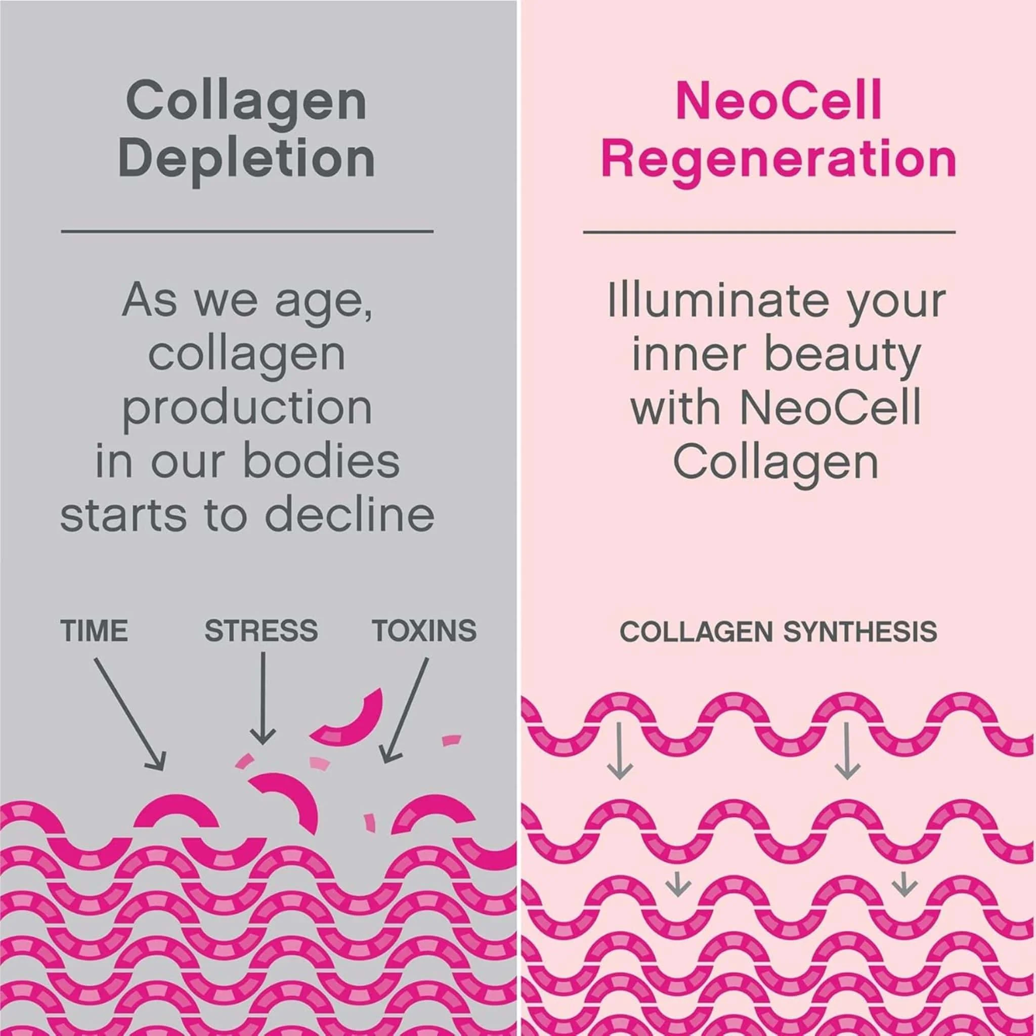 NeoCell Super Collagen Powder, Hydrolyzed Collagen Peptides Type 1 and 3 (Gluten-Free & Grass-Fed), 200g - Image 5