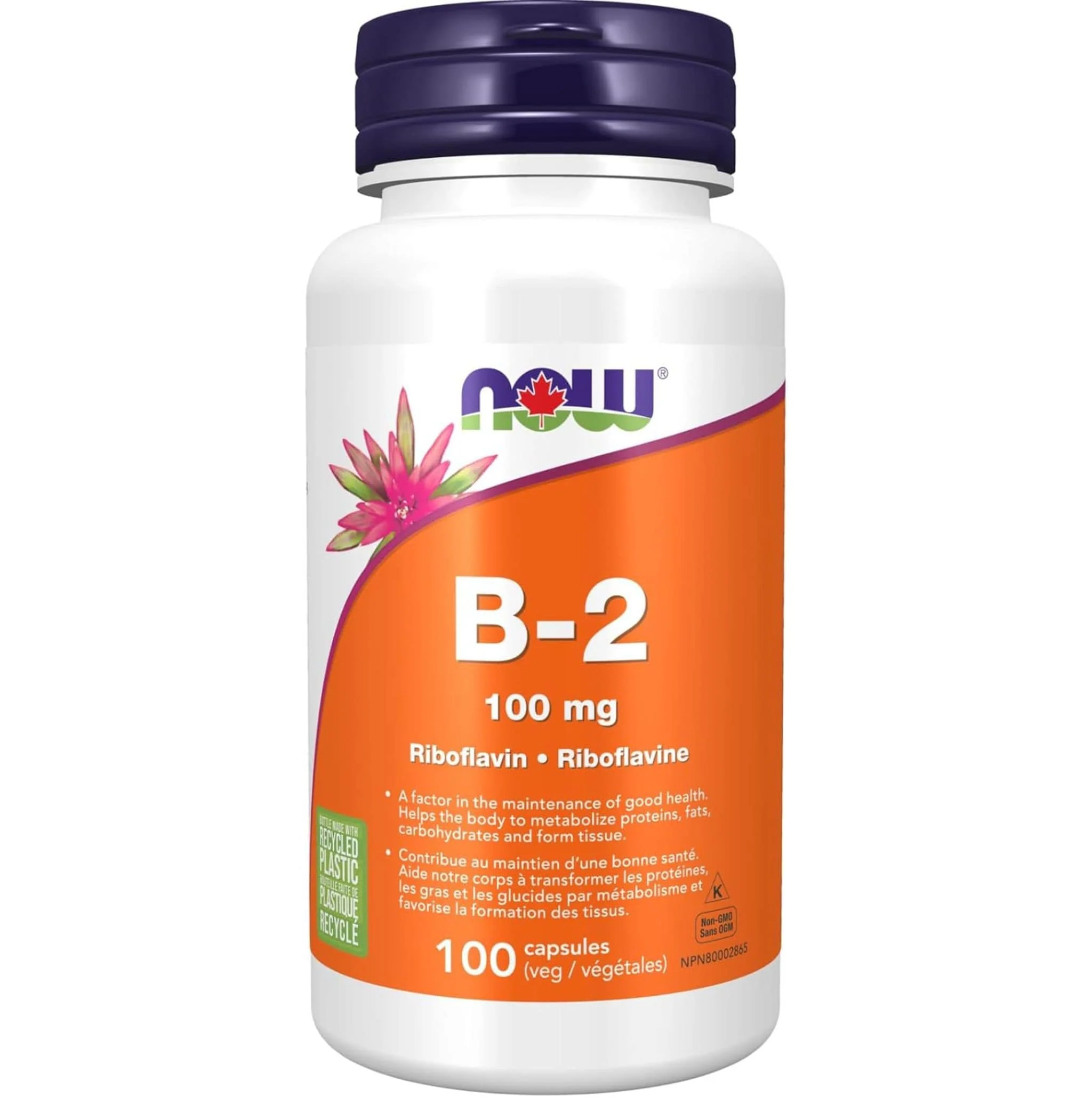 NOW B2 100mg, 100 Capsules