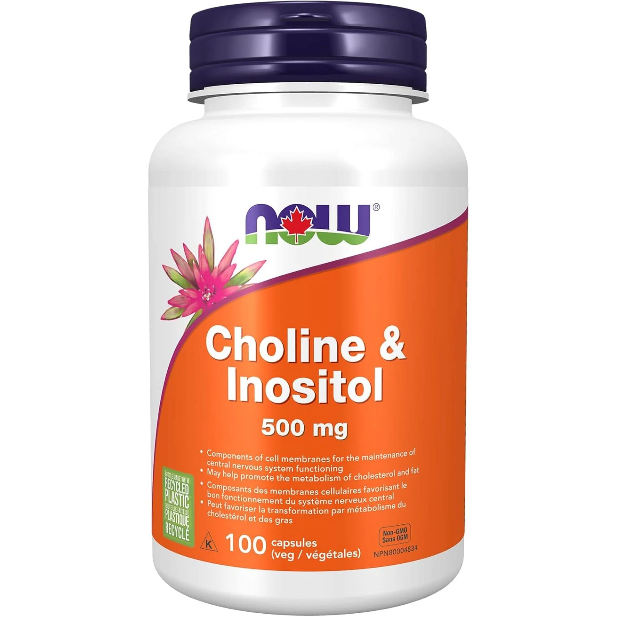 NOW Choline & Inositol 500mg, 100 Capsules