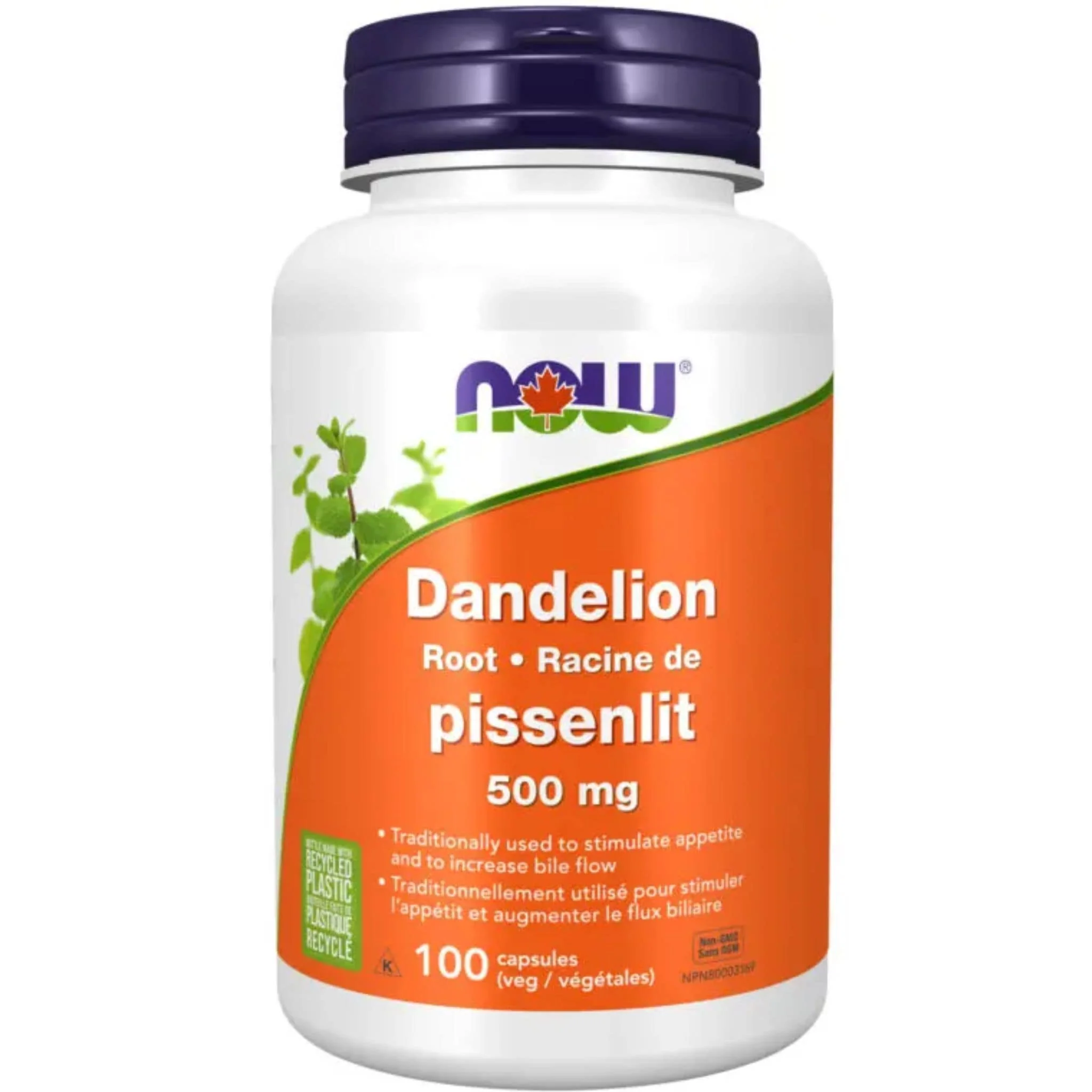 NOW Dandelion Root 500mg, 100 Vegetable Capsules - Image 2