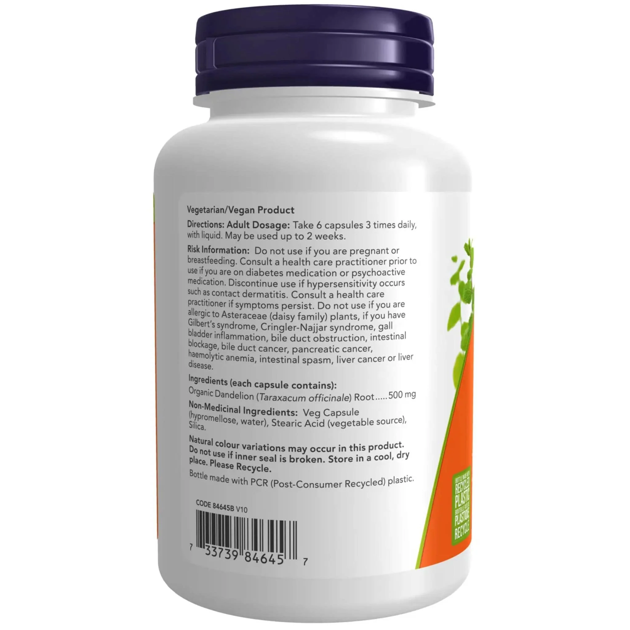 NOW Dandelion Root 500mg, 100 Vegetable Capsules - Image 3
