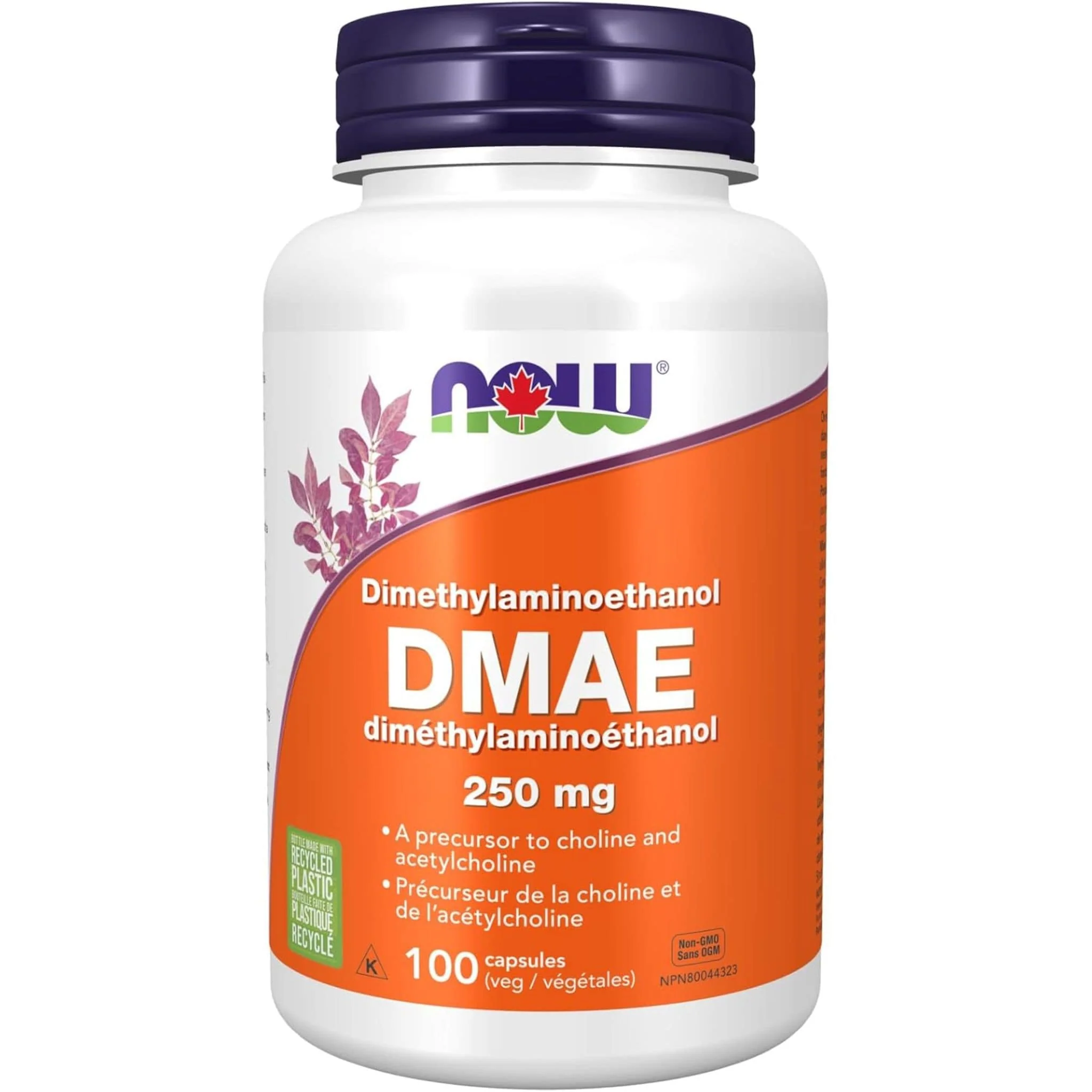 NOW DMAE 250mg, 100 Vcaps