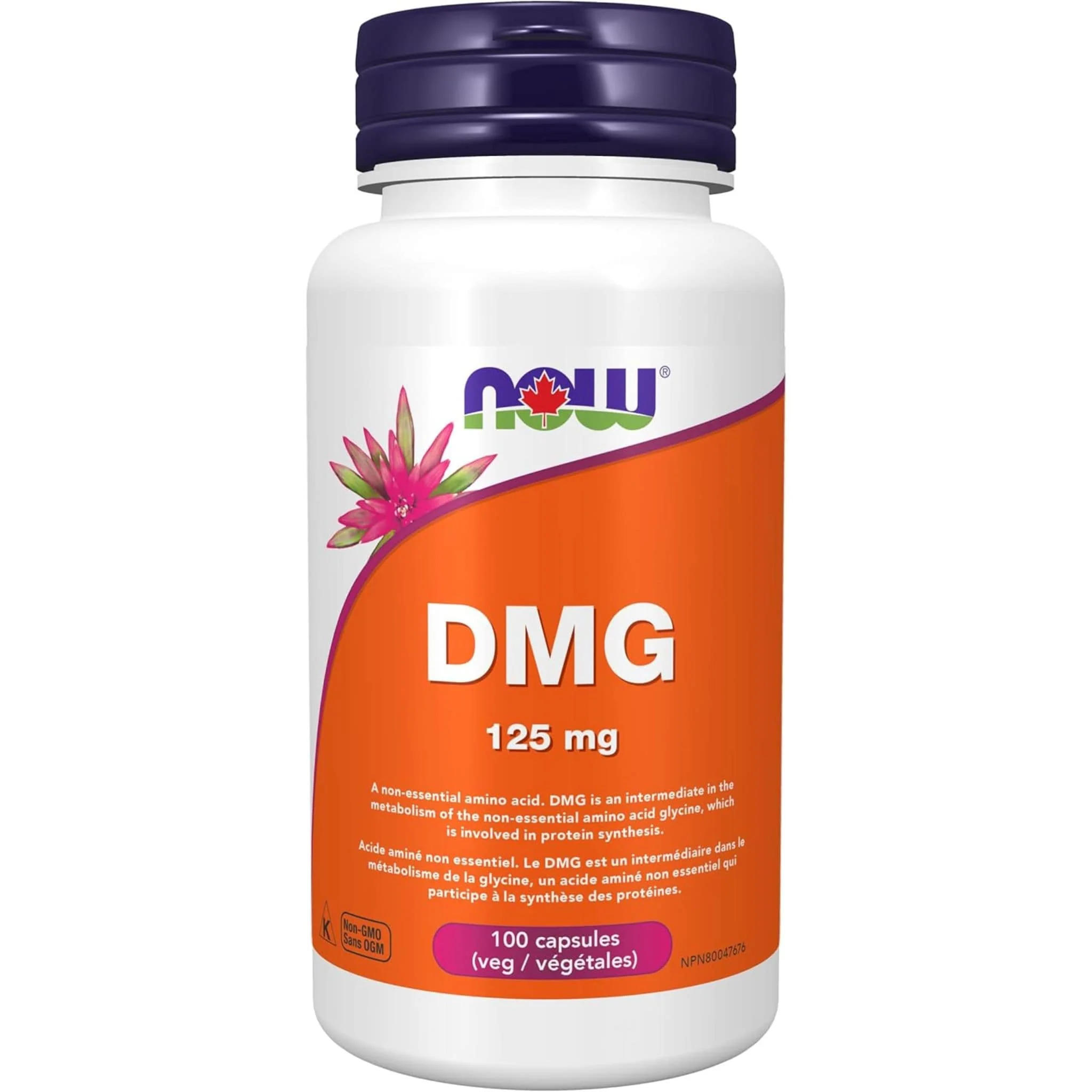 NOW DMG (Dimethylglycine), 125mg, 100 Capsules - Image 2