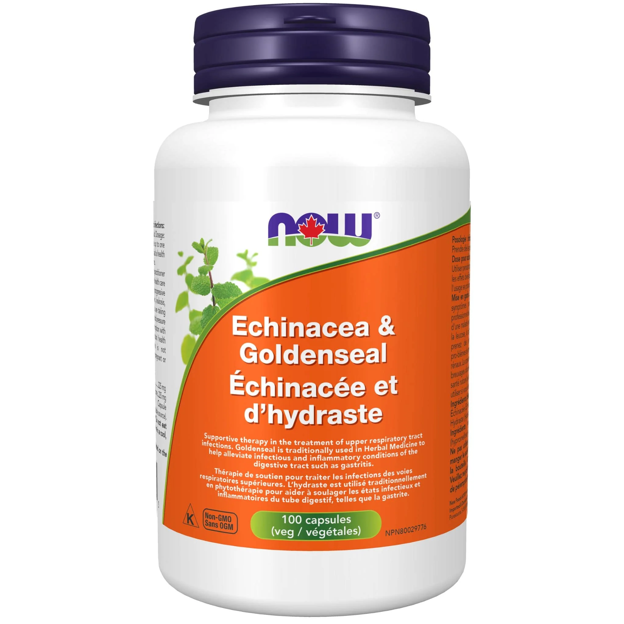 NOW Echinacea & Goldseal, 225mg/225mg, 100 Capsules - Image 2