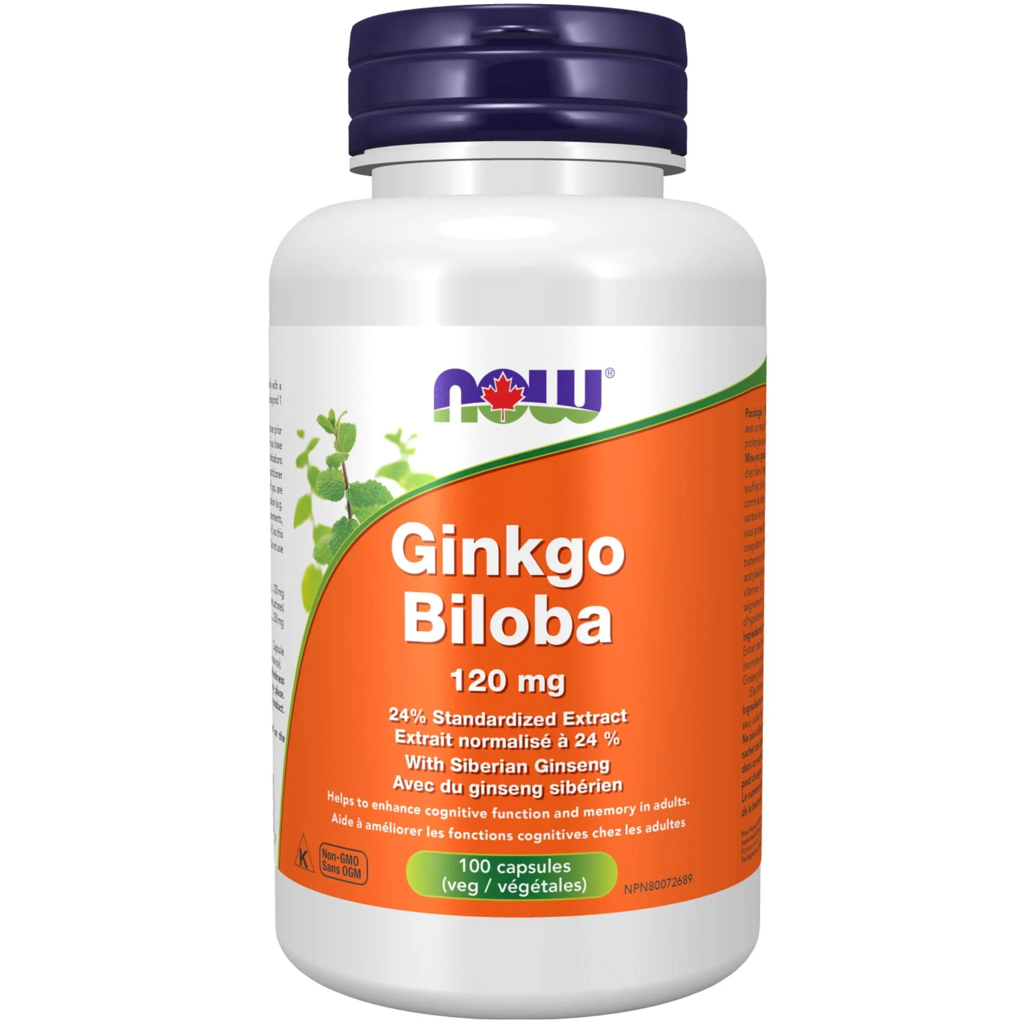 NOW Ginkgo Biloba, 120mg